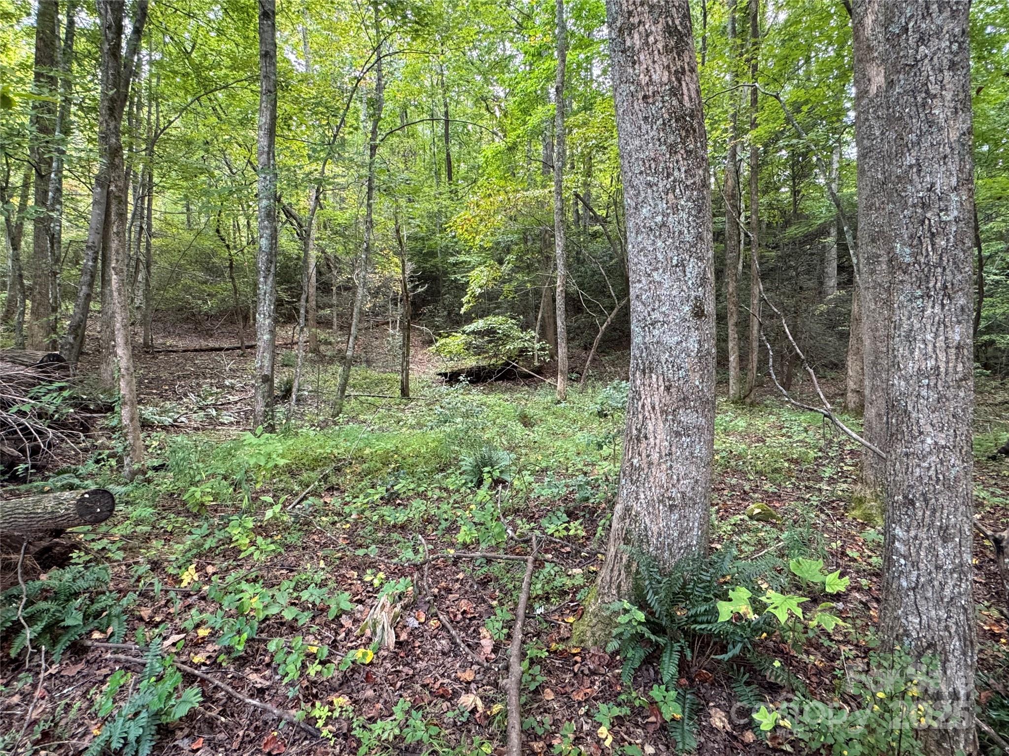 36 Bee Tree Point Court Property Photo 10