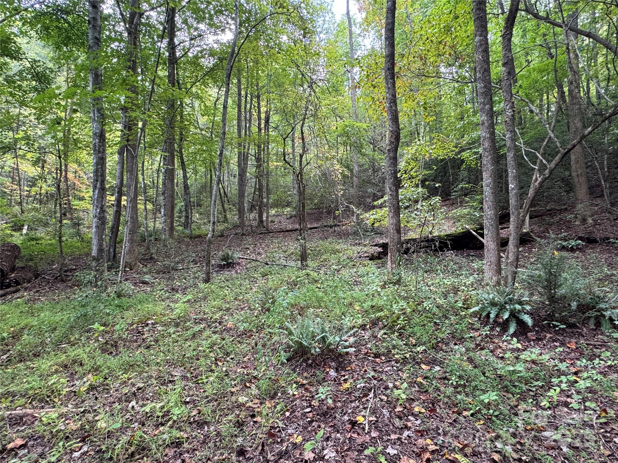 36 Bee Tree Point Court Property Photo 11
