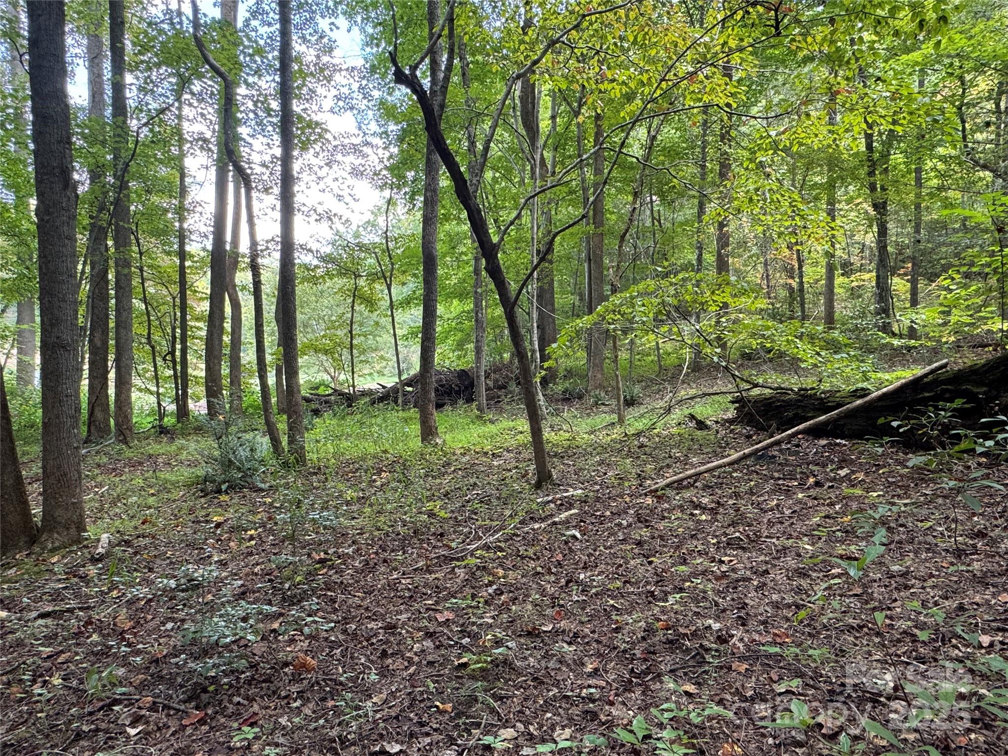 36 Bee Tree Point Court Property Photo 12