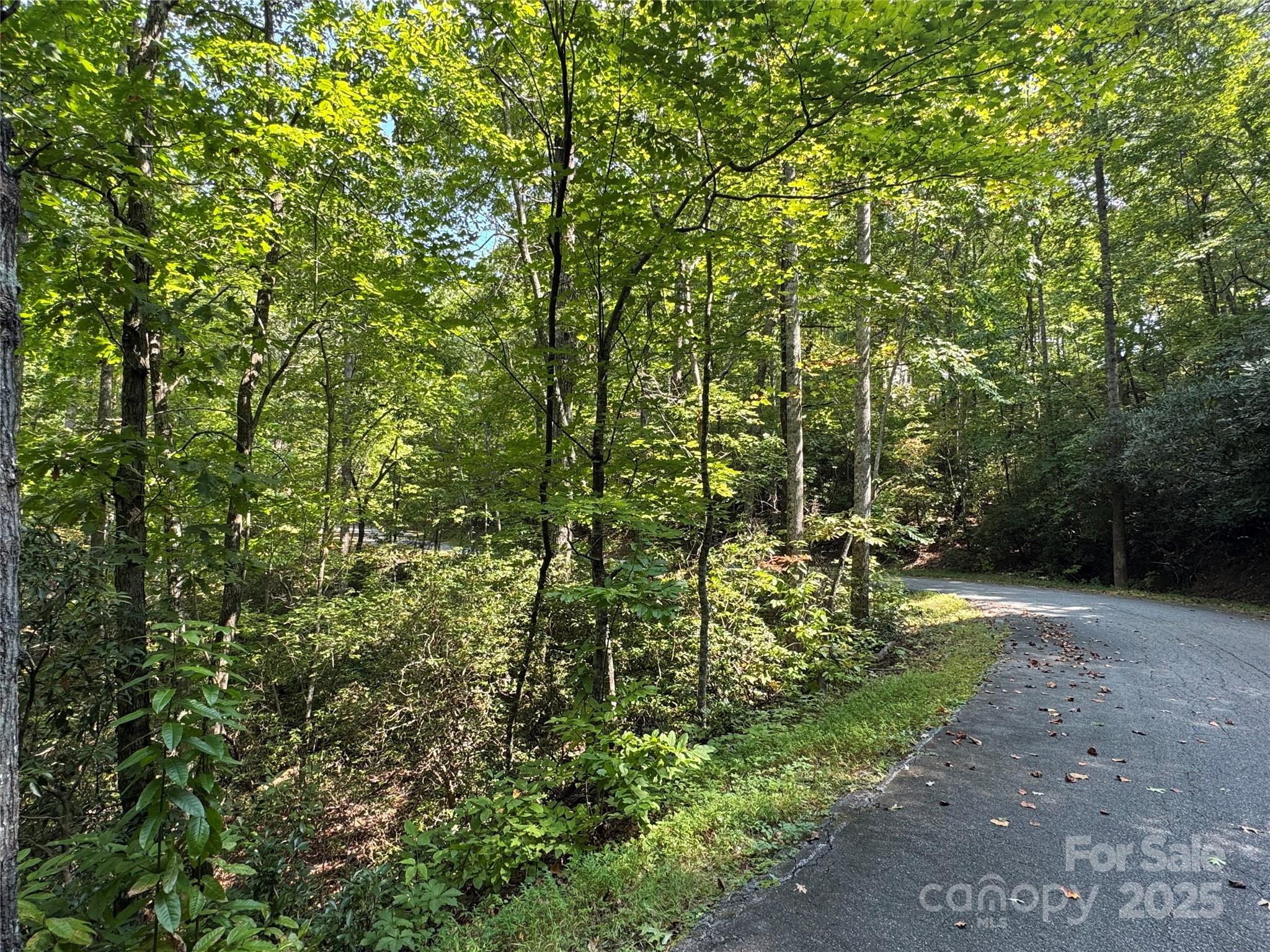 36 Bee Tree Point Court Property Photo 15