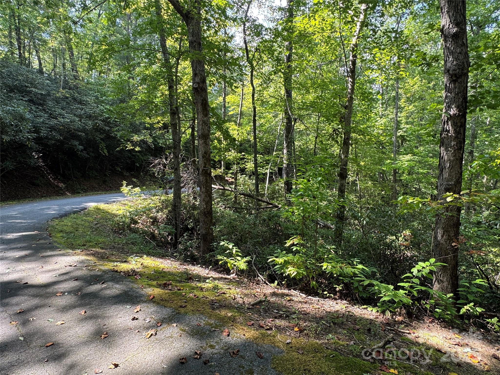 36 Bee Tree Point Court Property Photo 16