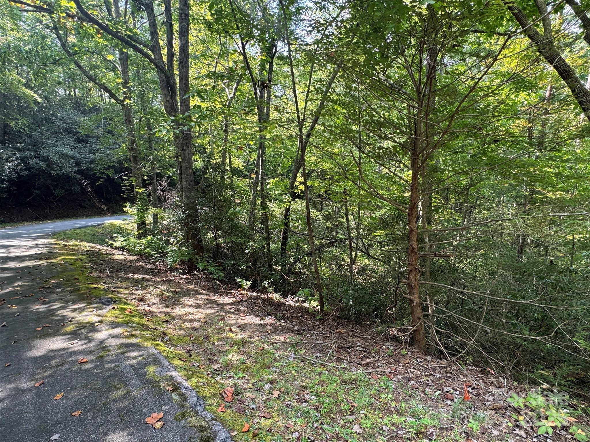 36 Bee Tree Point Court Property Photo 17