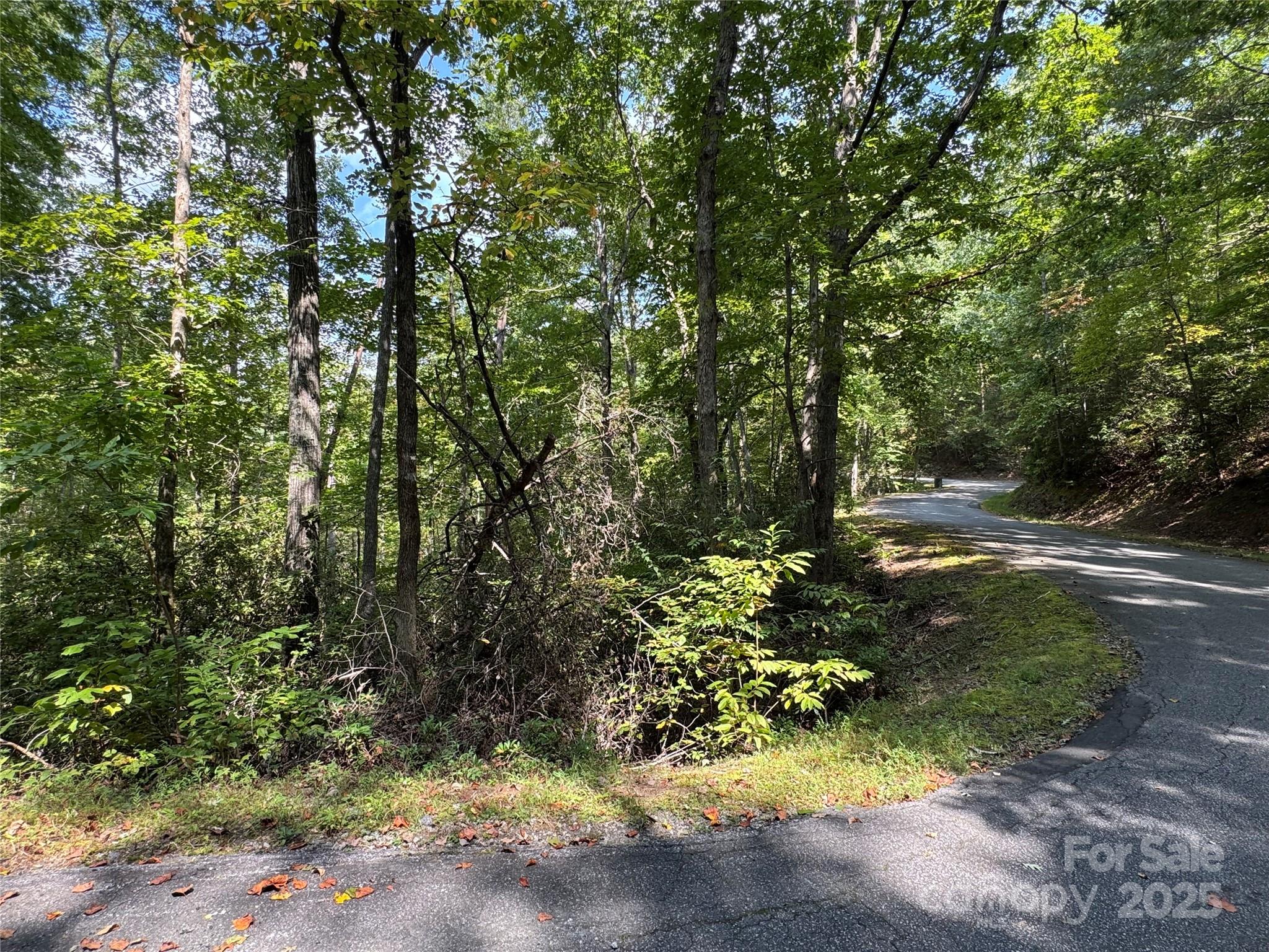 36 Bee Tree Point Court Property Photo 18