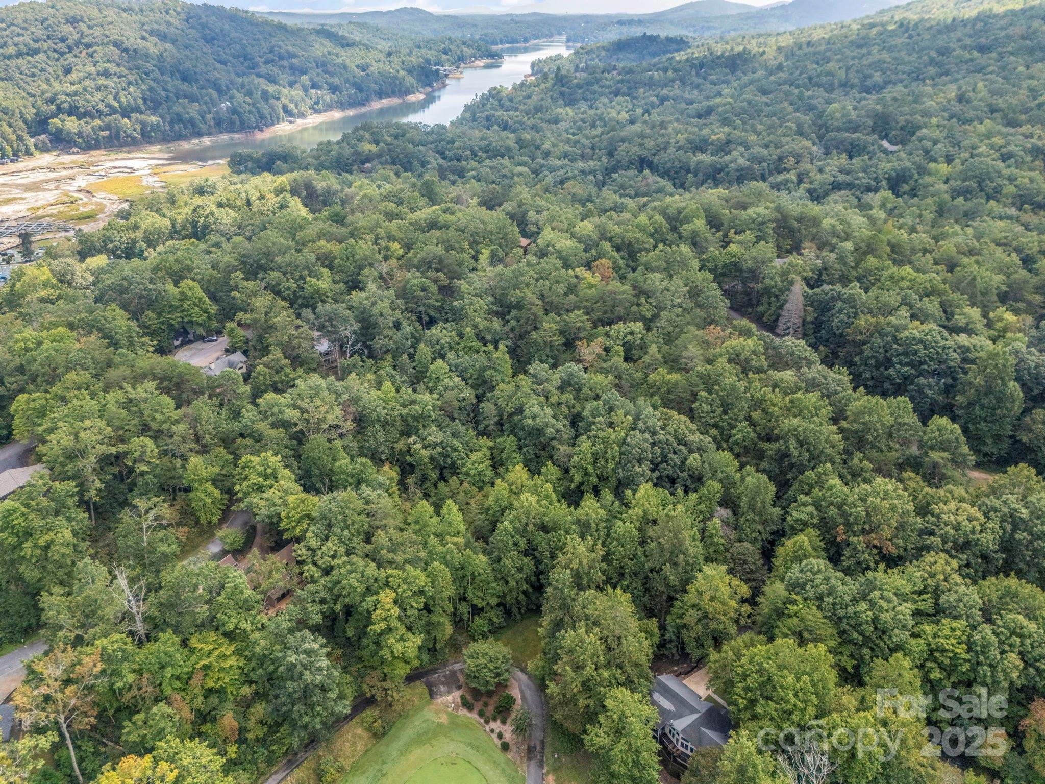 36 Bee Tree Point Court Property Photo 37