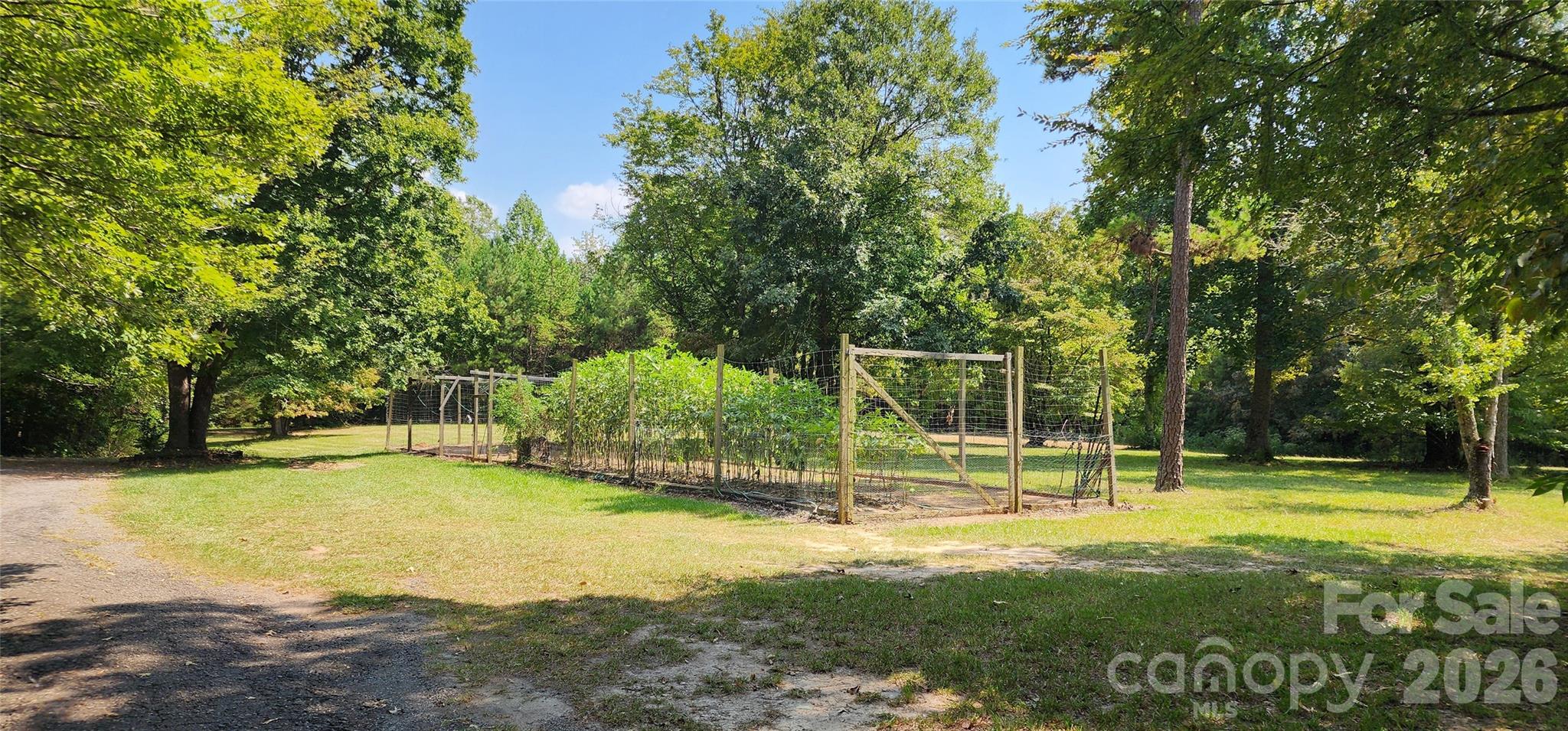1115 John Short Road Property Photo 13