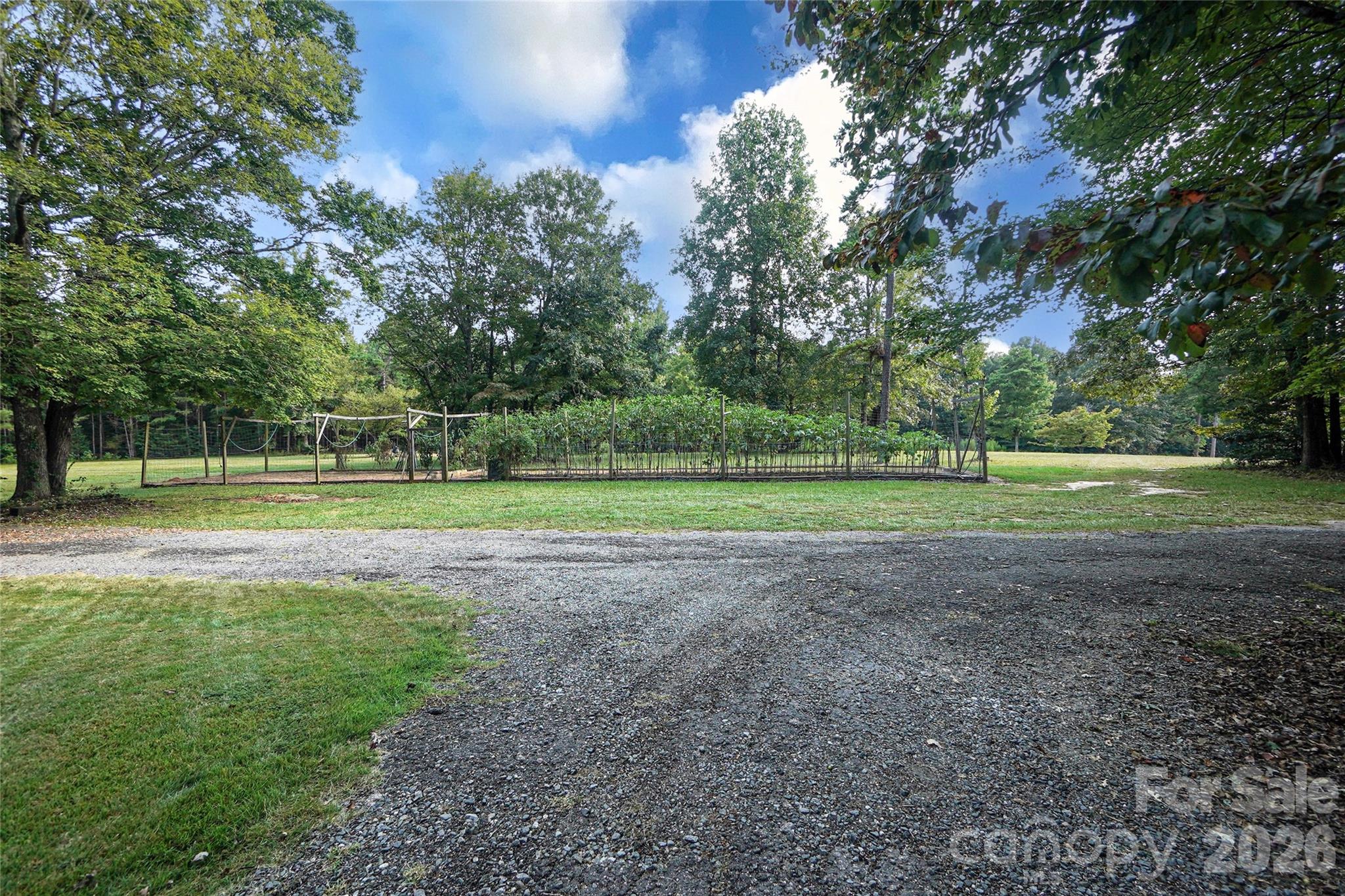 1115 John Short Road Property Photo 14