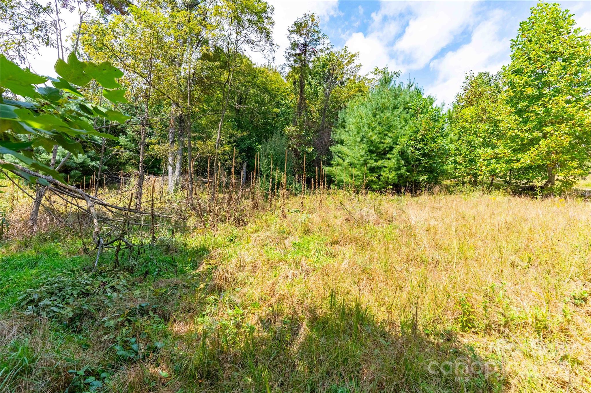 1043 Somersby Parkway Property Photo 1
