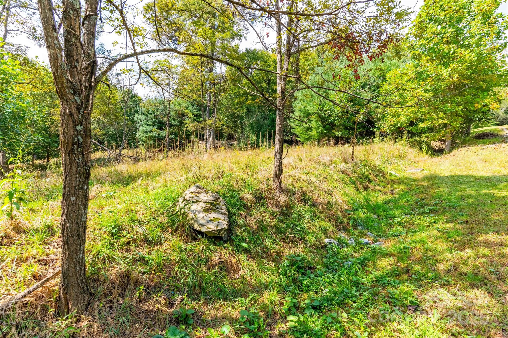 1043 Somersby Parkway Property Photo 2