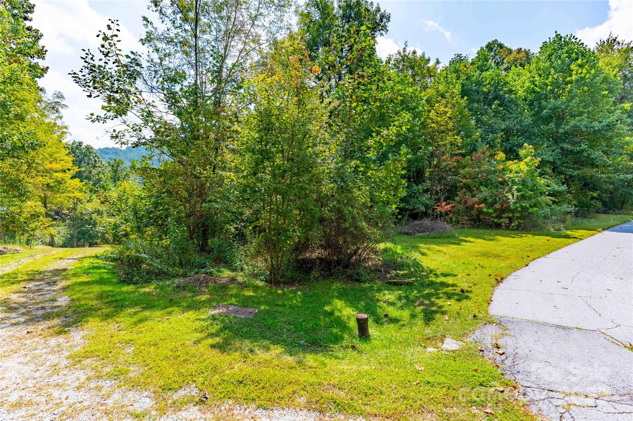 1043 Somersby Parkway Property Photo 3