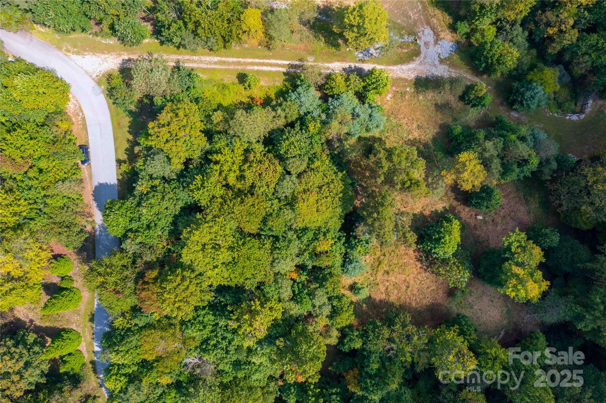 1043 Somersby Parkway Property Photo 5