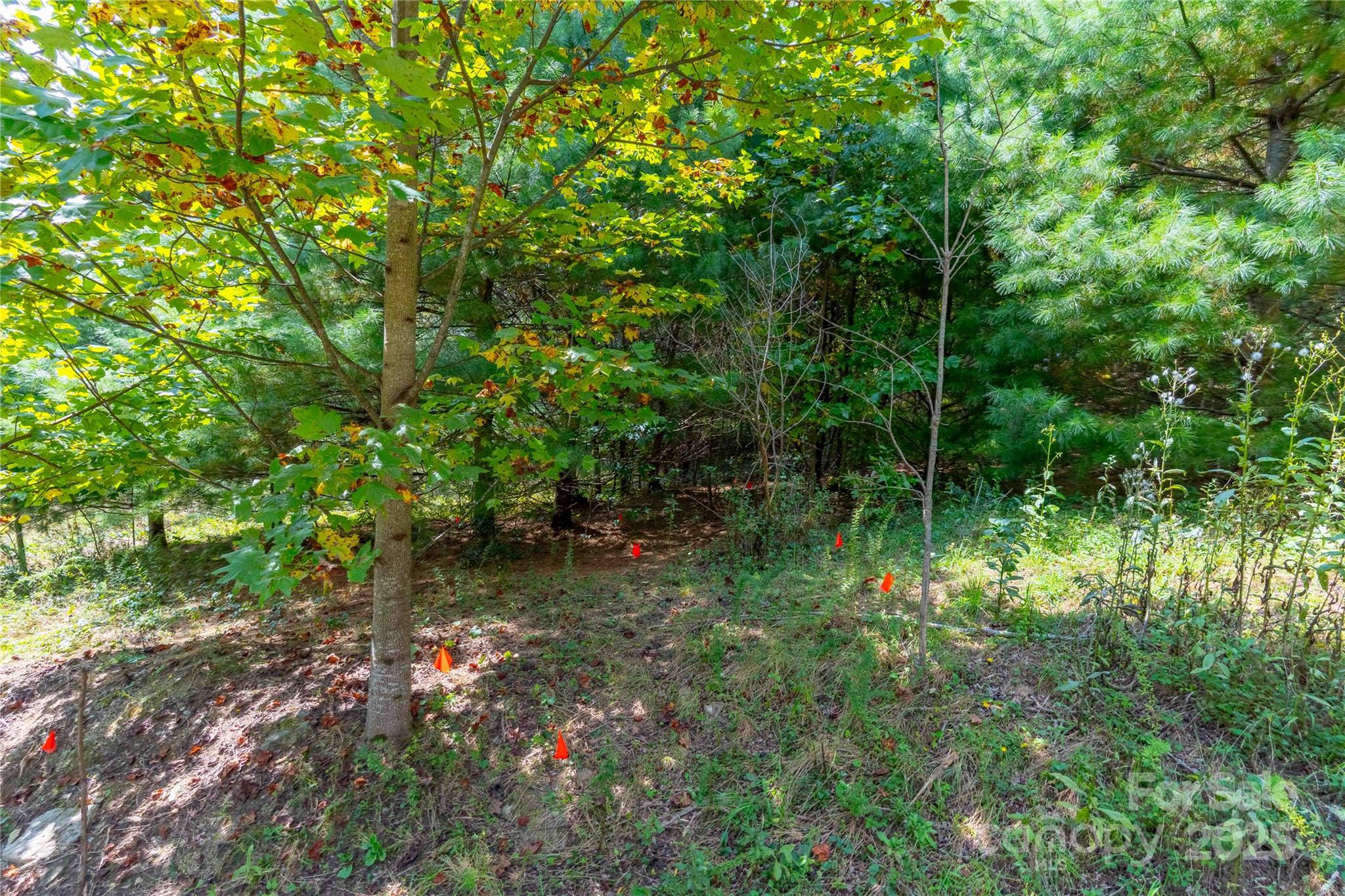 1043 Somersby Parkway Property Photo 6