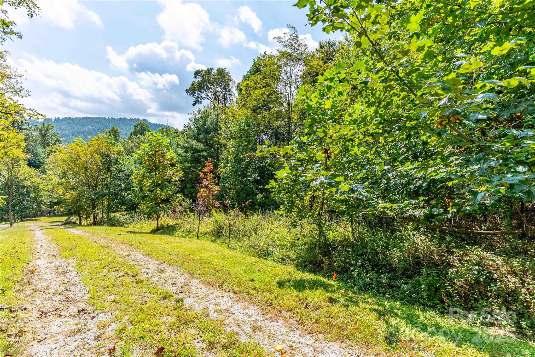 1043 Somersby Parkway Property Photo 7