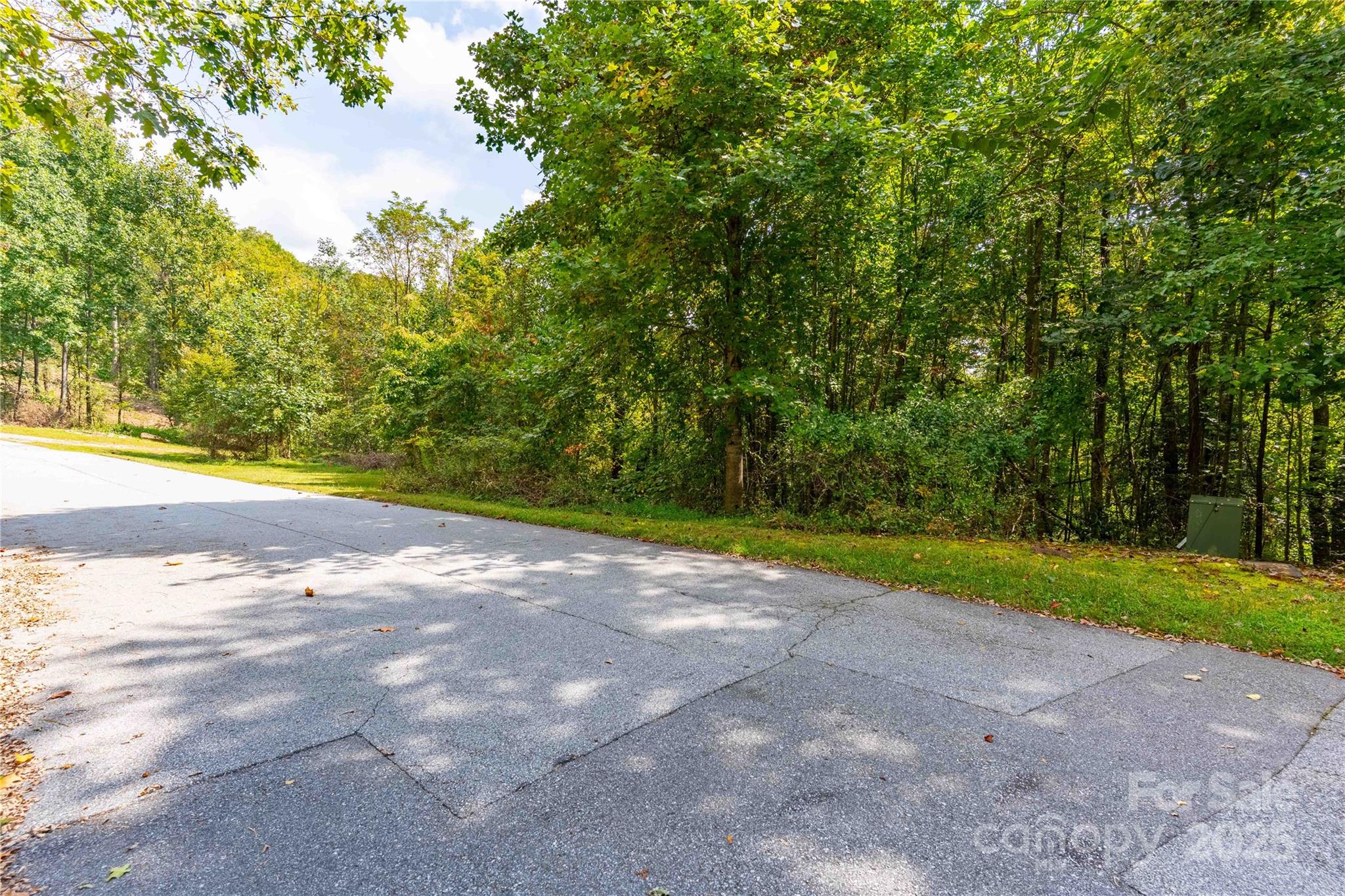 1043 Somersby Parkway Property Photo 8