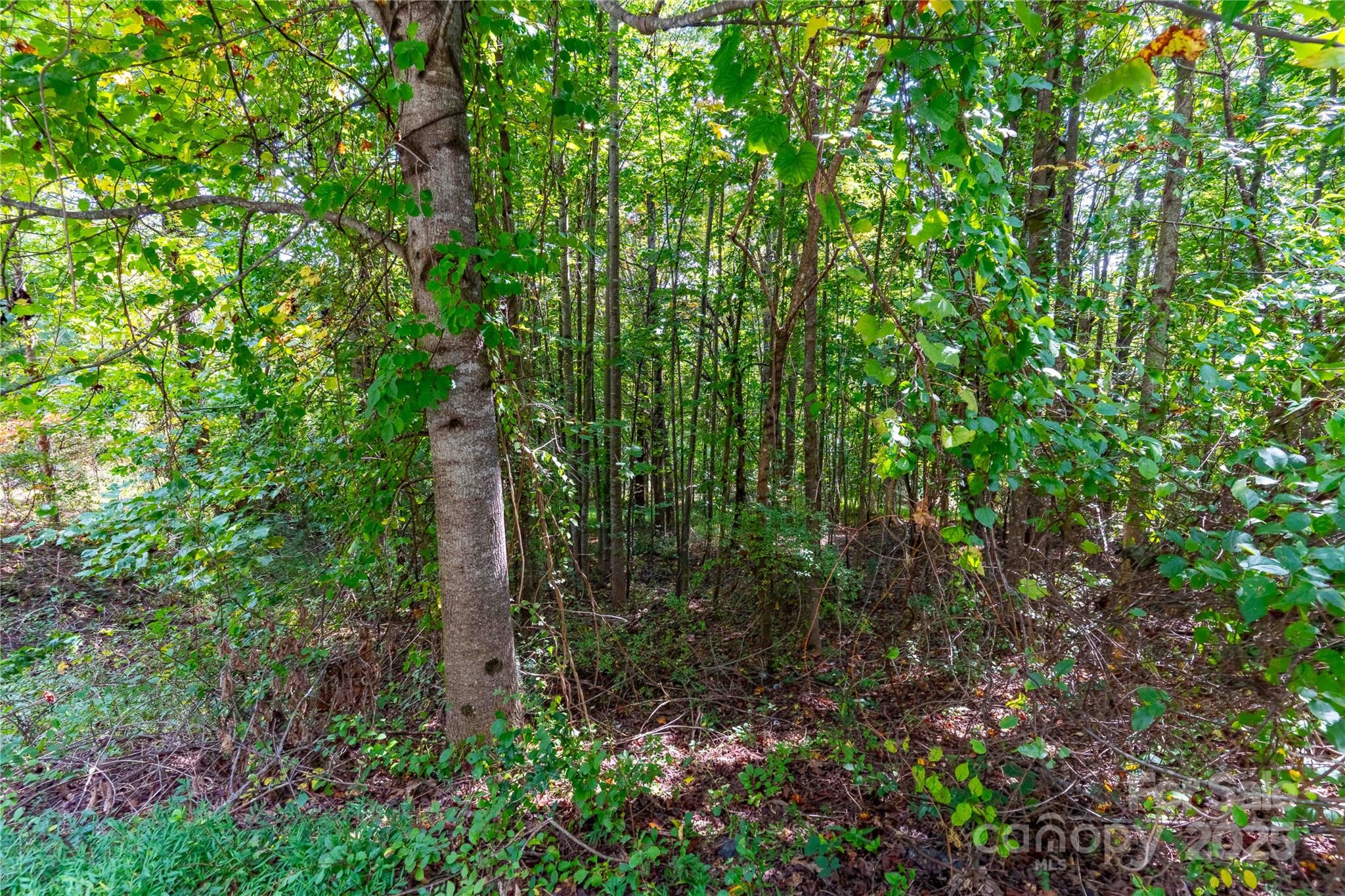1043 Somersby Parkway Property Photo 10