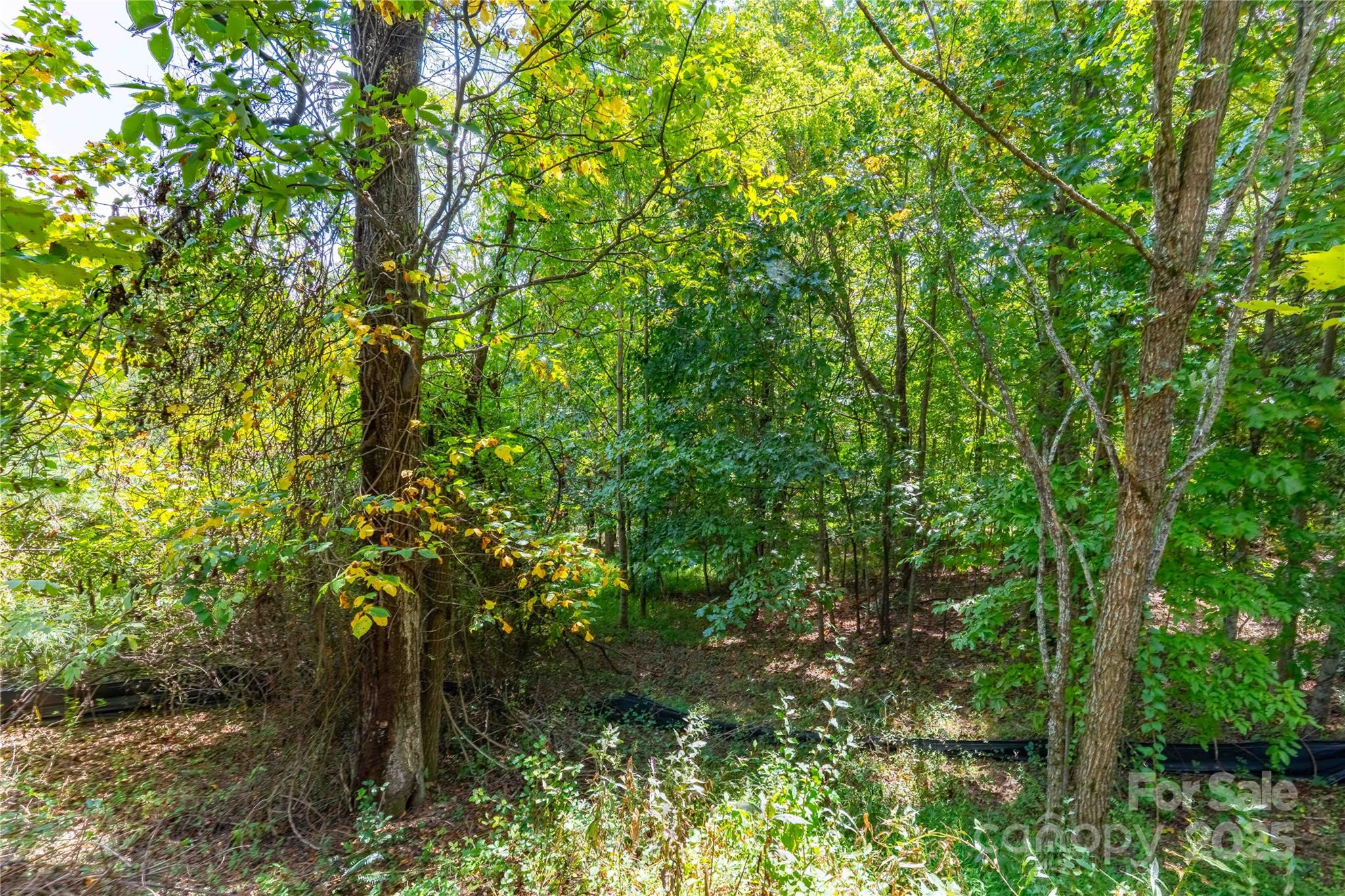 1043 Somersby Parkway Property Photo 11