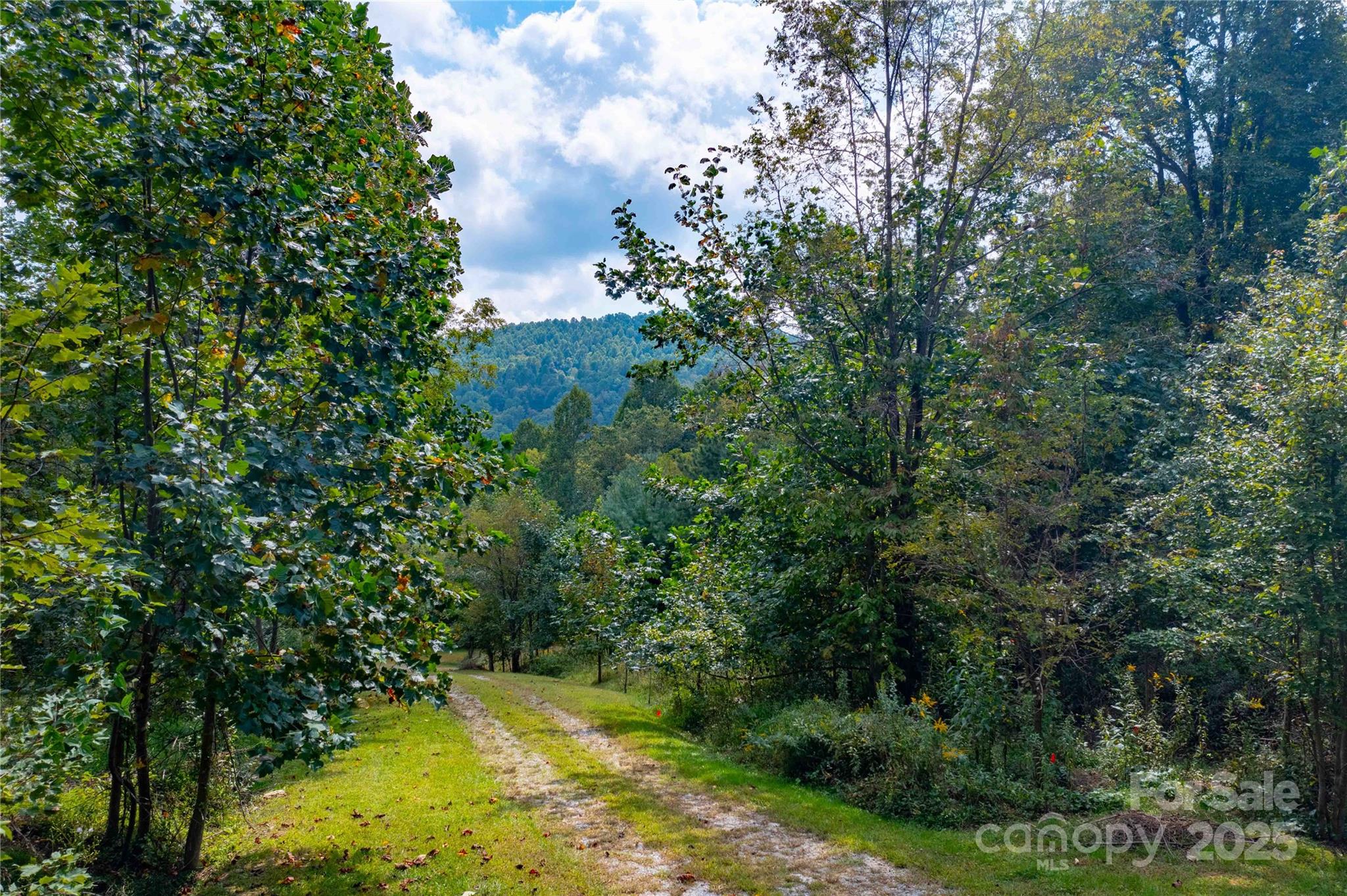 1043 Somersby Parkway Property Photo 17