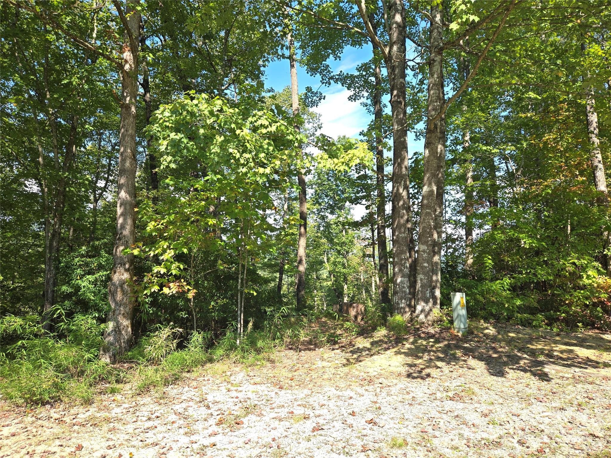 303 Ladd Ridge Property Photo 3