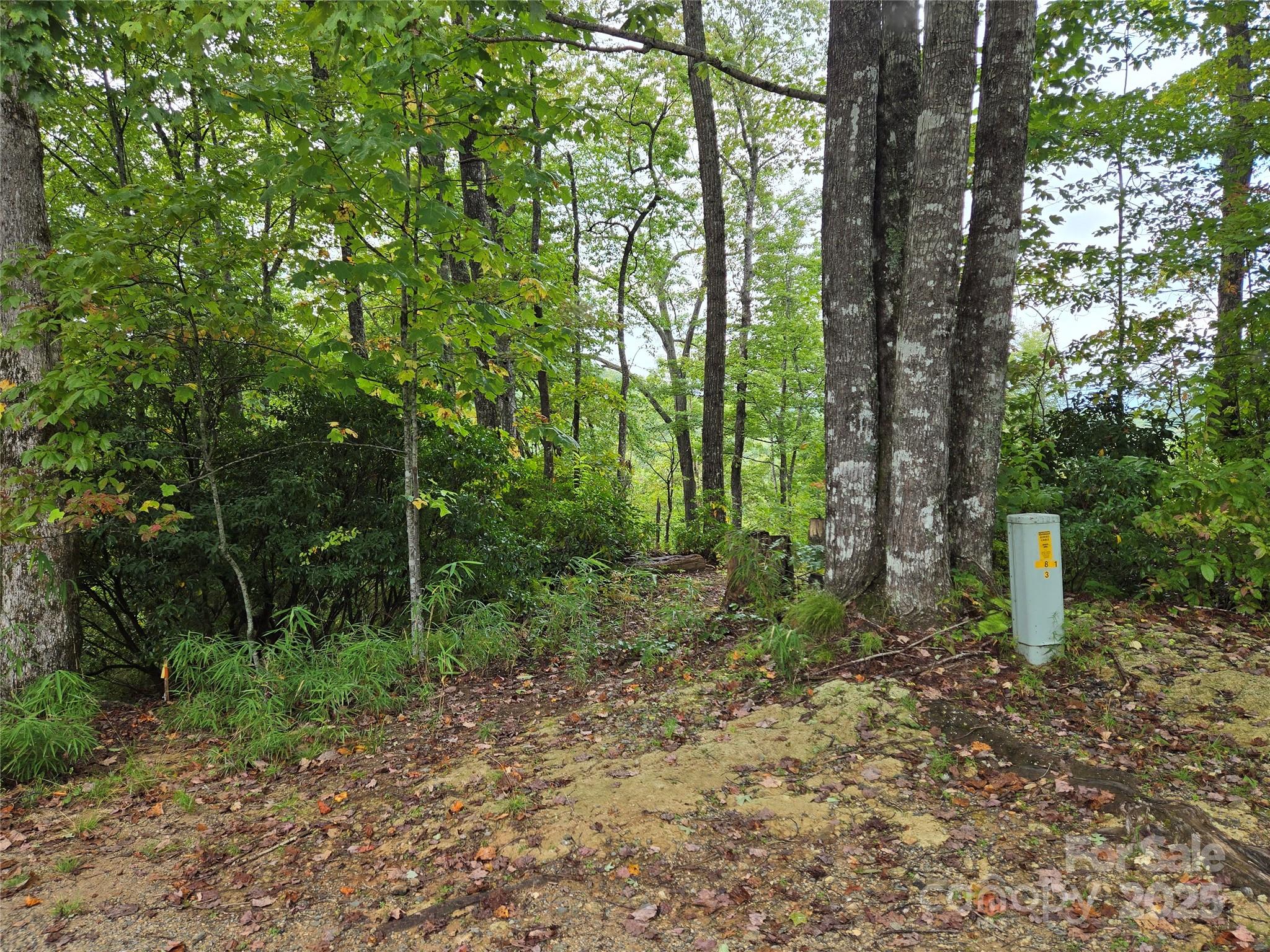 303 Ladd Ridge Property Photo 4