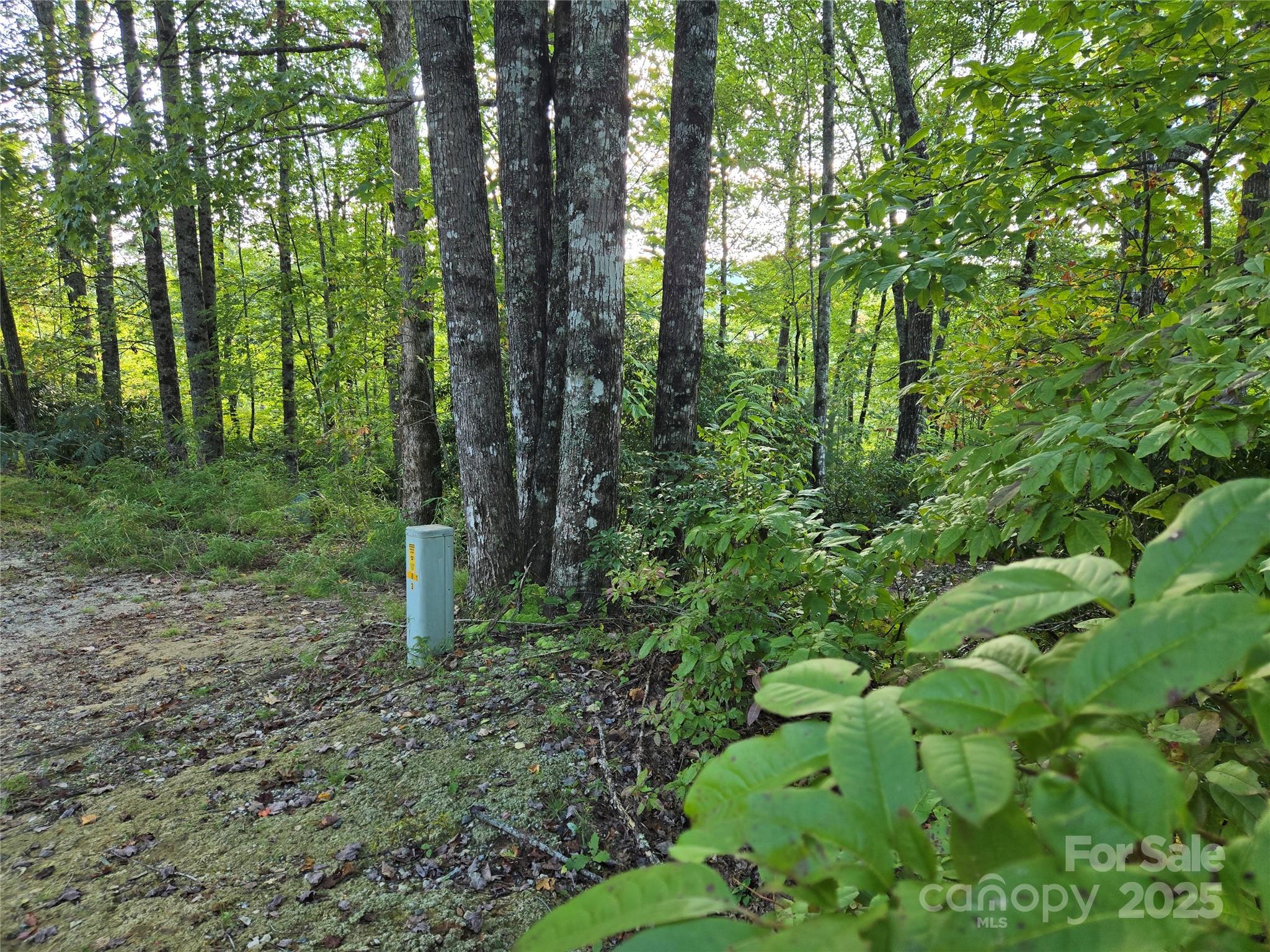 303 Ladd Ridge Property Photo 5
