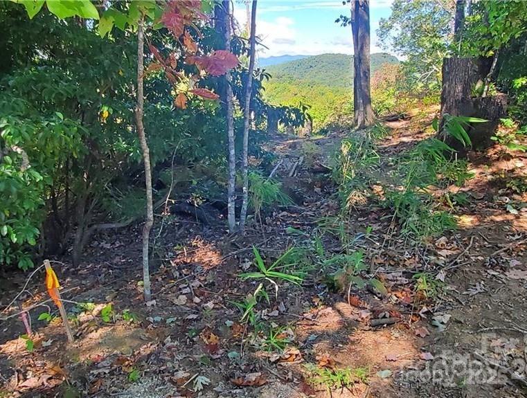 303 Ladd Ridge Property Photo 6