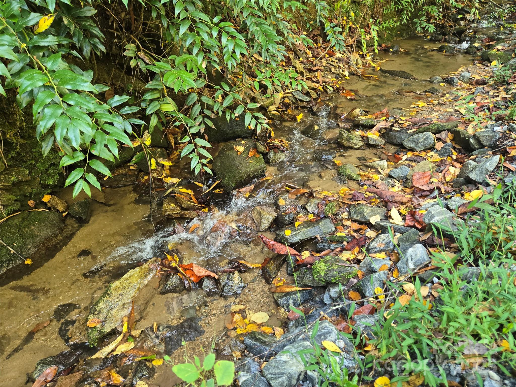 303 Ladd Ridge Property Photo 7