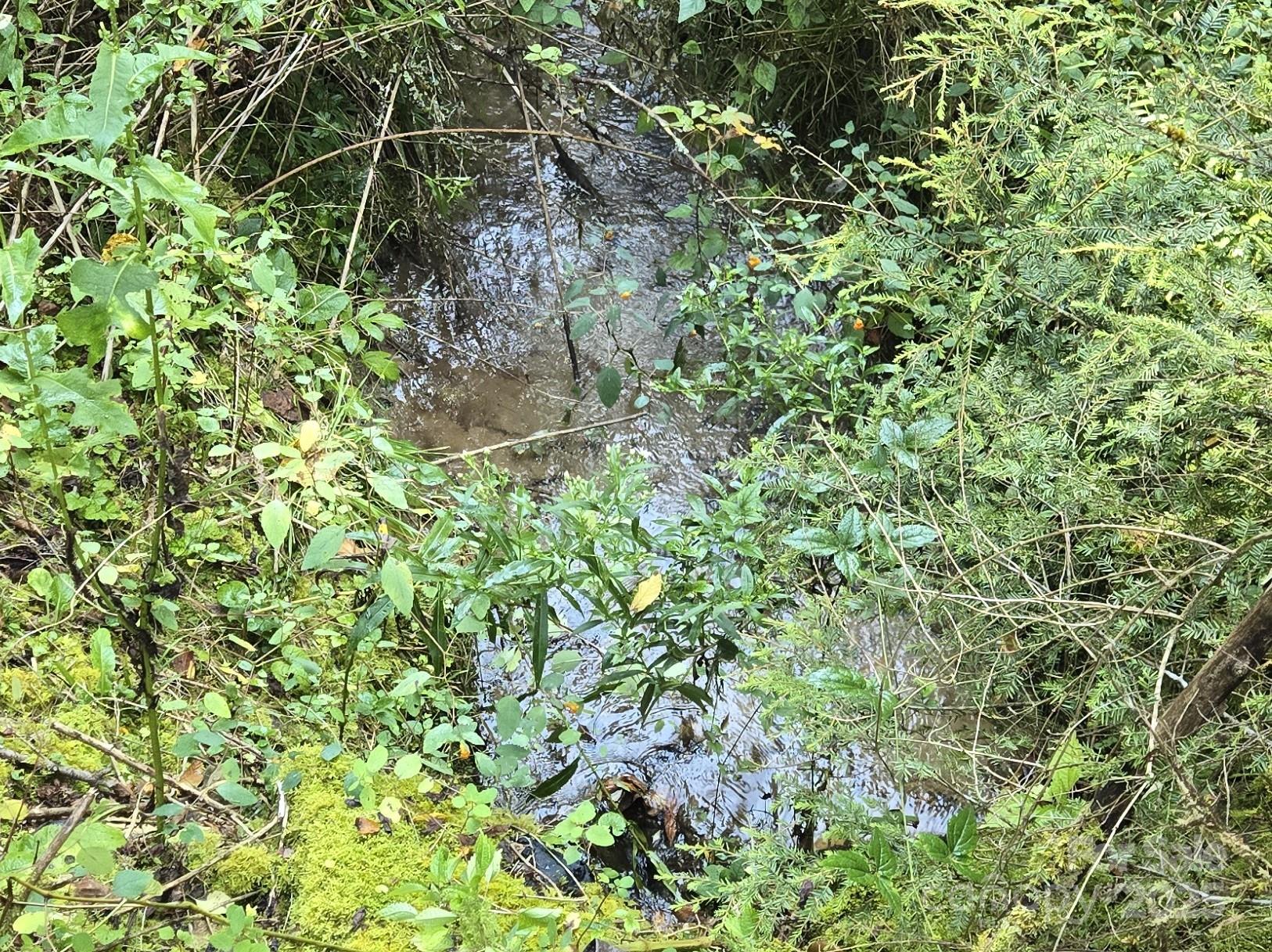 303 Ladd Ridge Property Photo 8