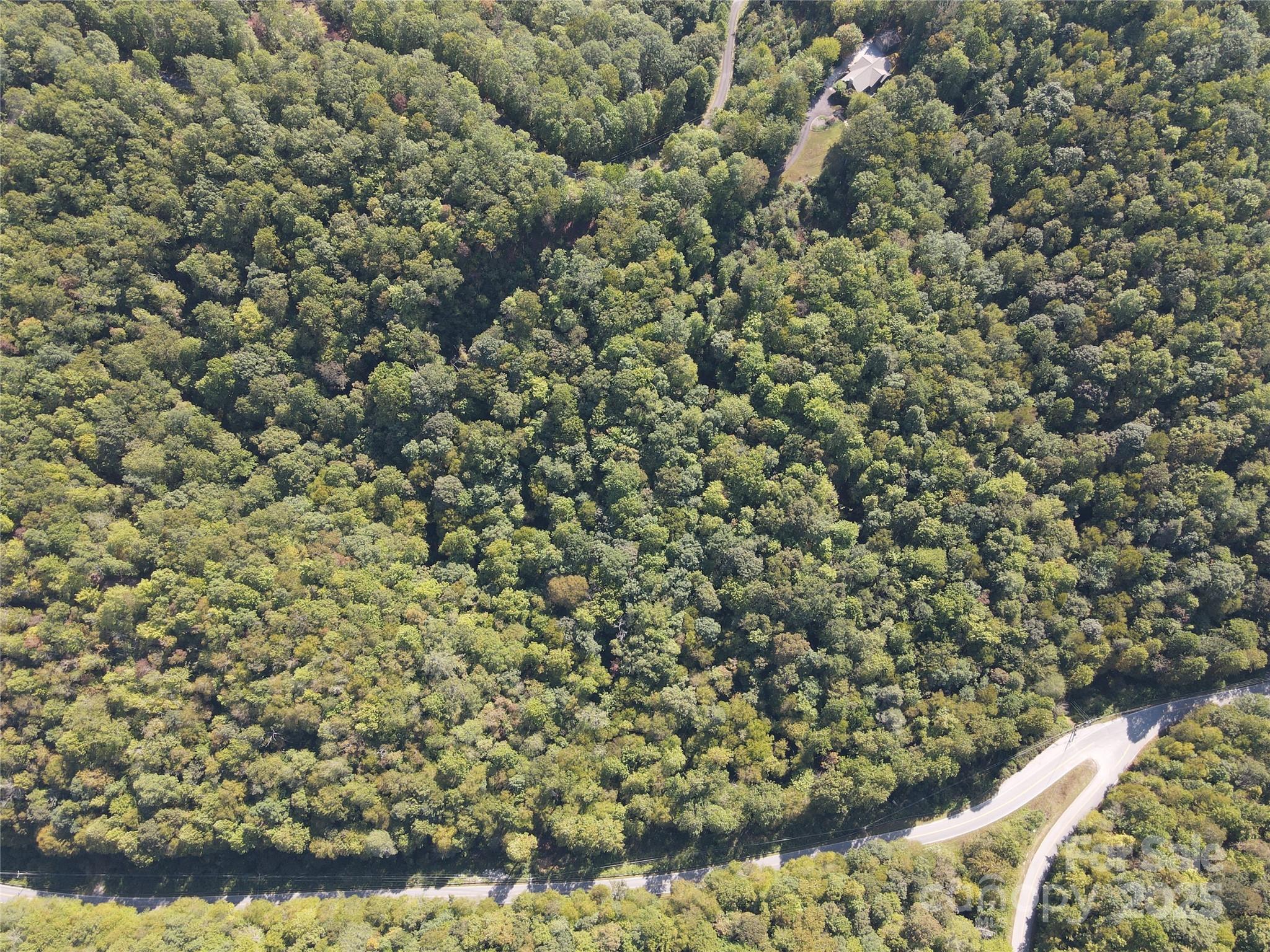 303 Ladd Ridge Property Photo 9