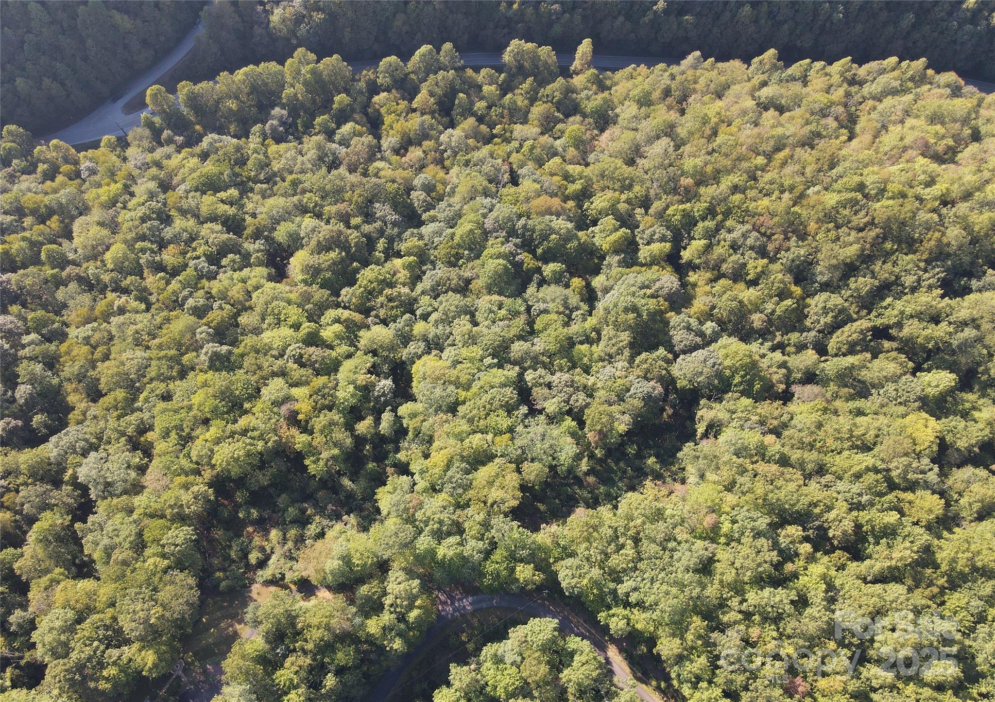 303 Ladd Ridge Property Photo 11