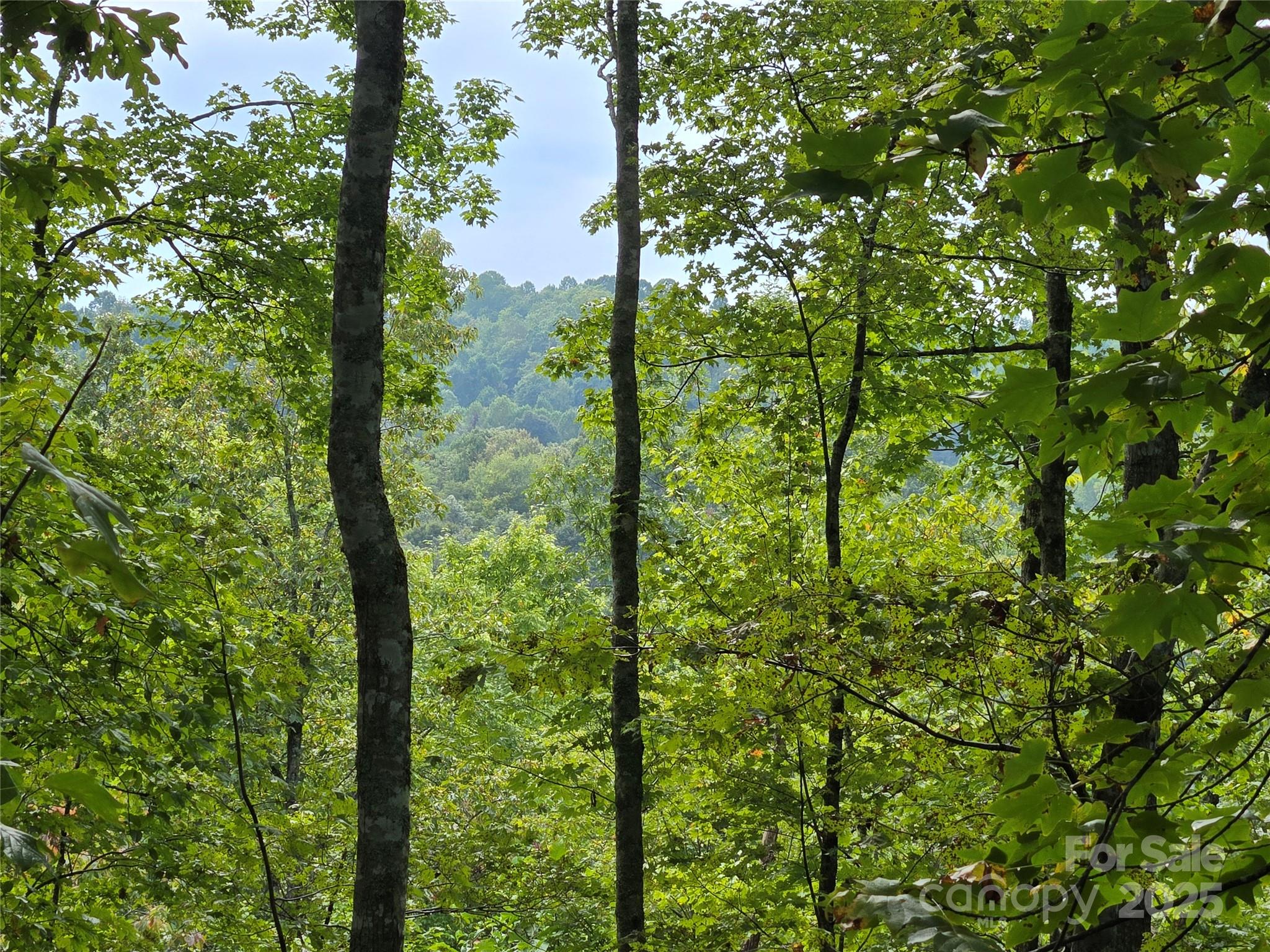 303 Ladd Ridge Property Photo 12