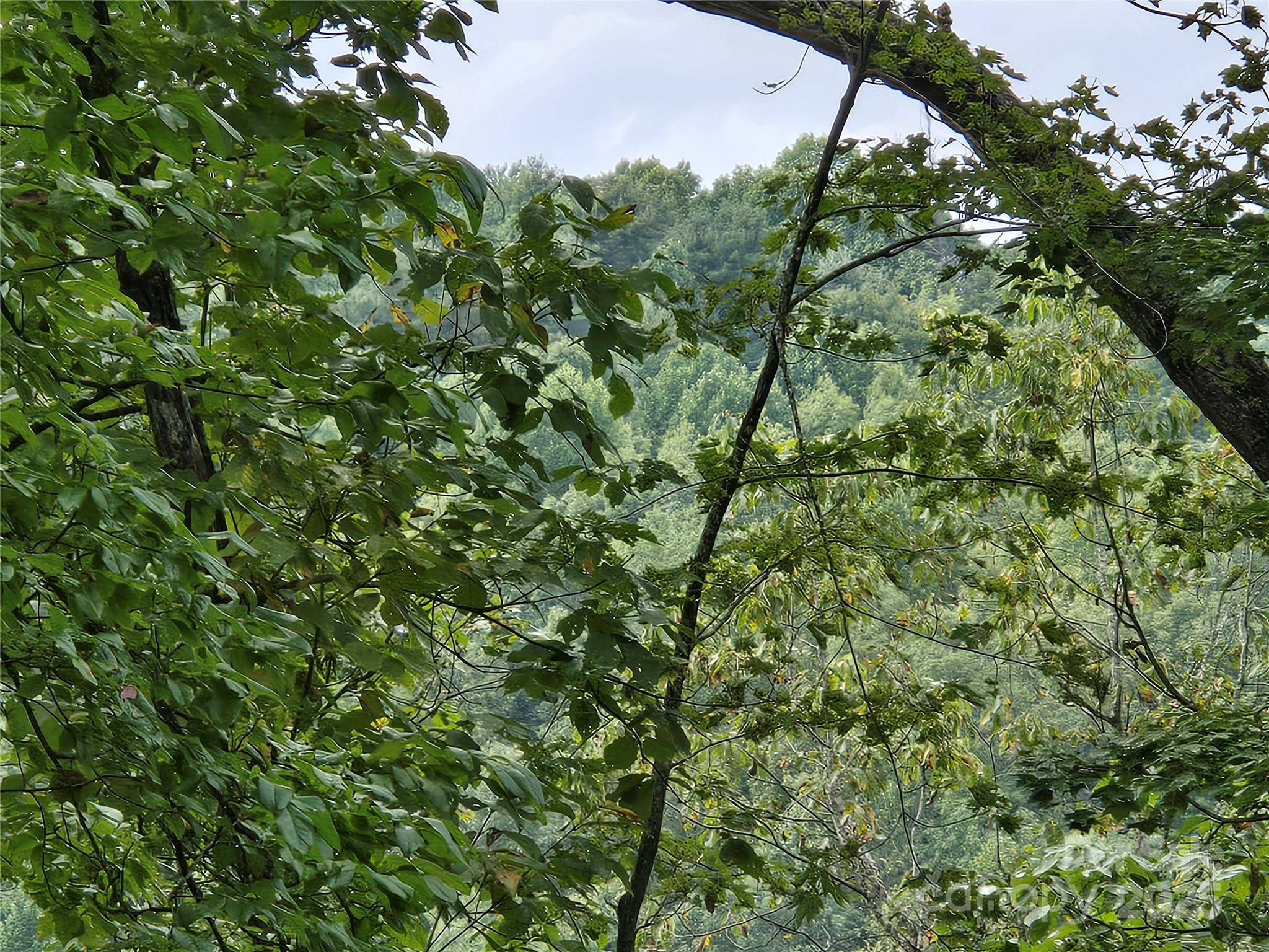 303 Ladd Ridge Property Photo 14