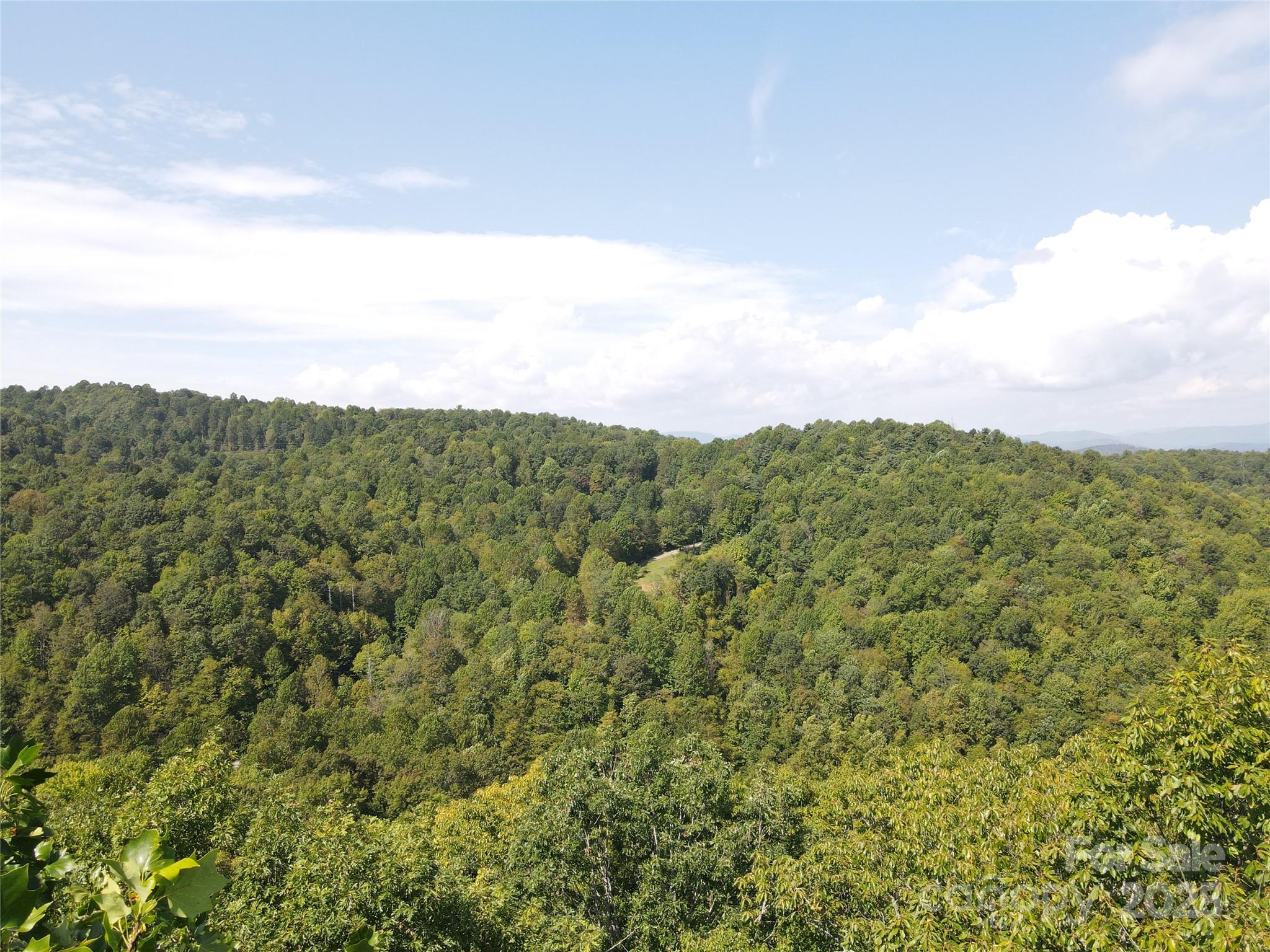 303 Ladd Ridge Property Photo 16