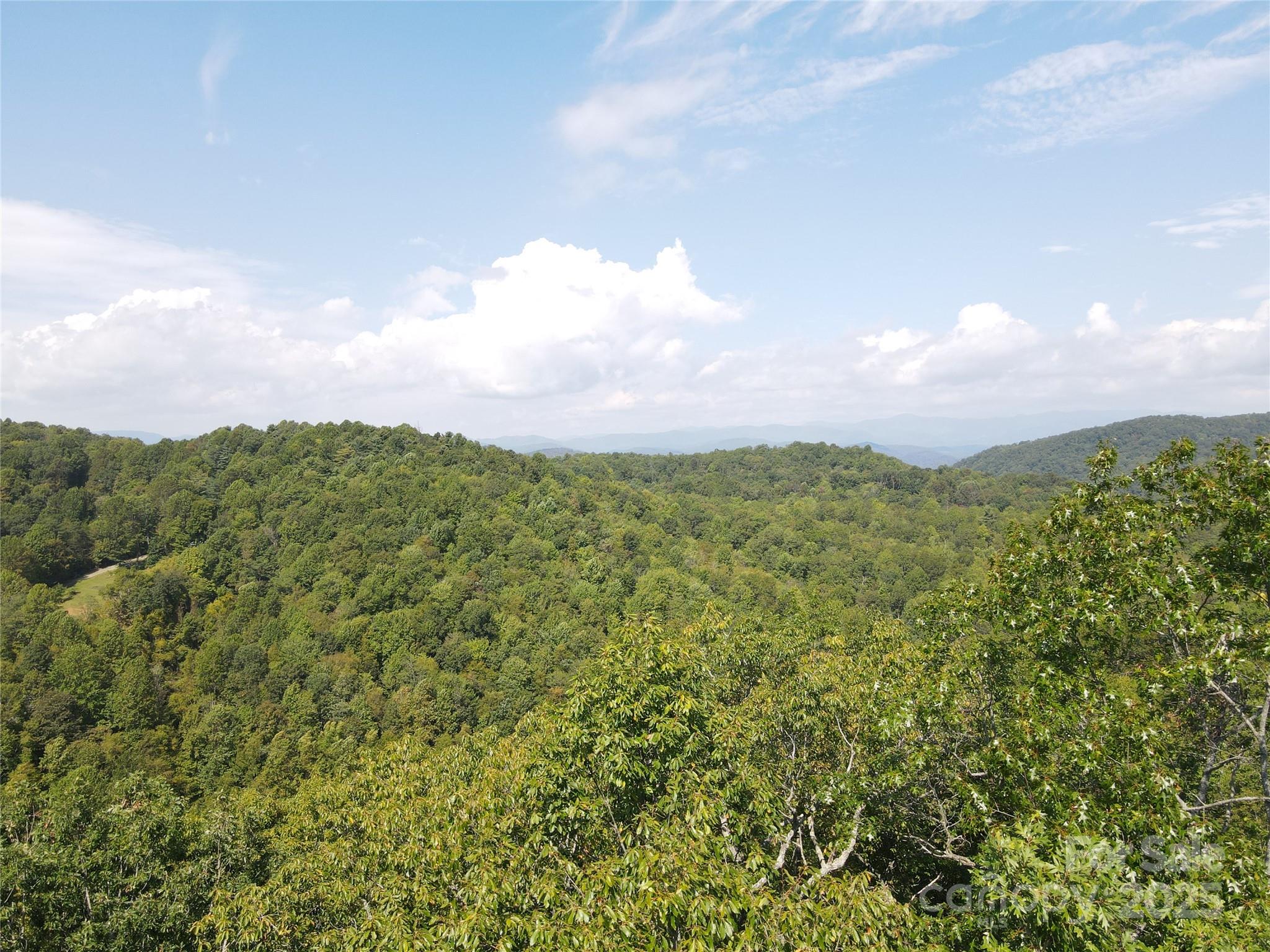 303 Ladd Ridge Property Photo 17