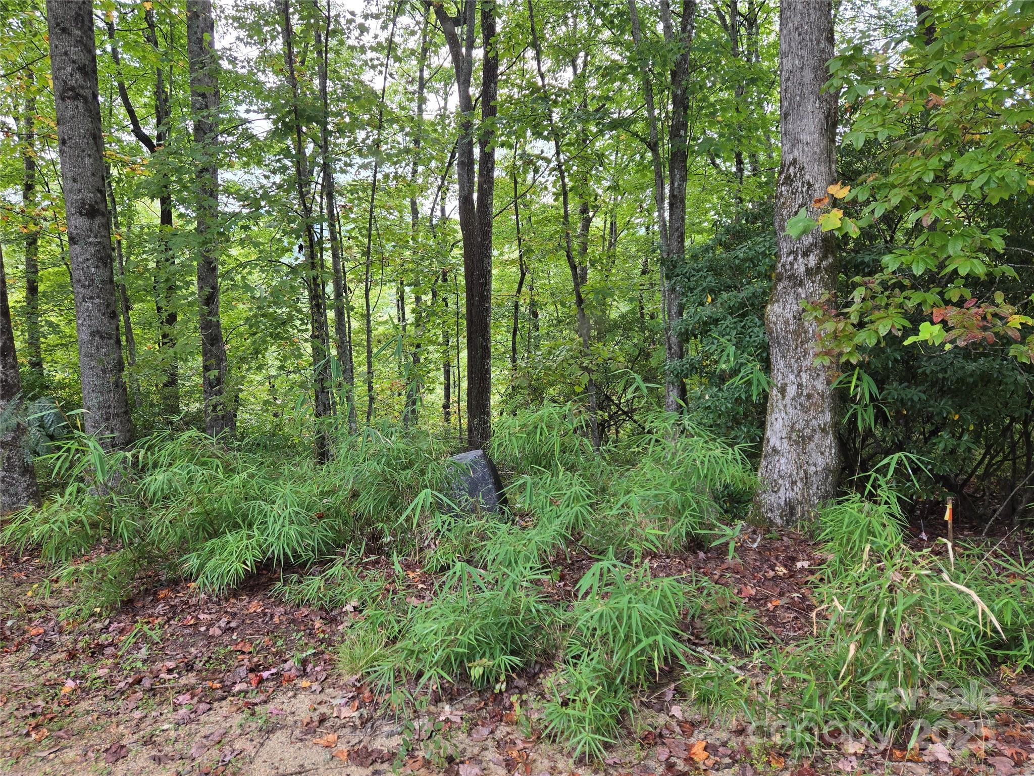 303 Ladd Ridge Property Photo 19