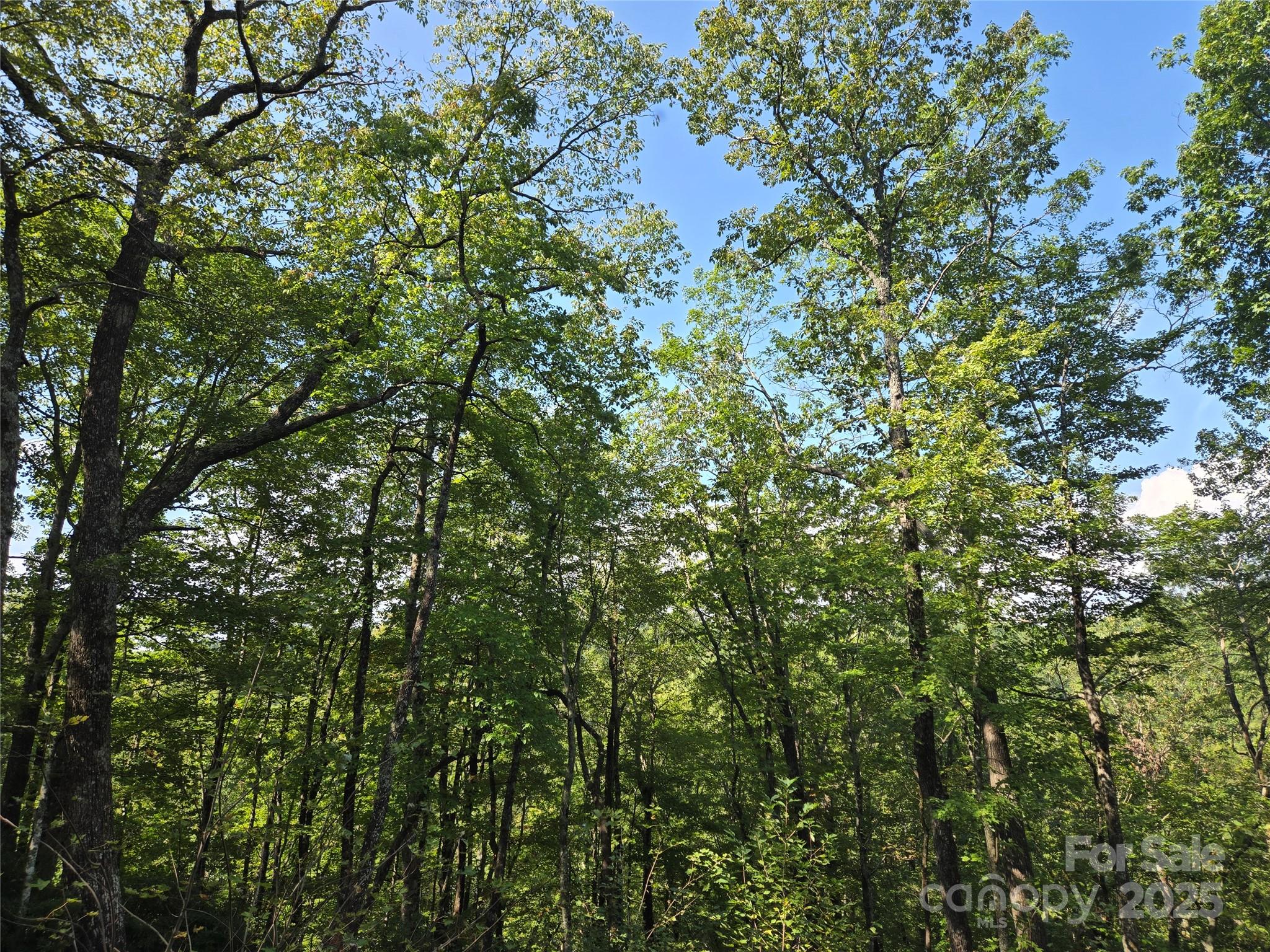 303 Ladd Ridge Property Photo 21