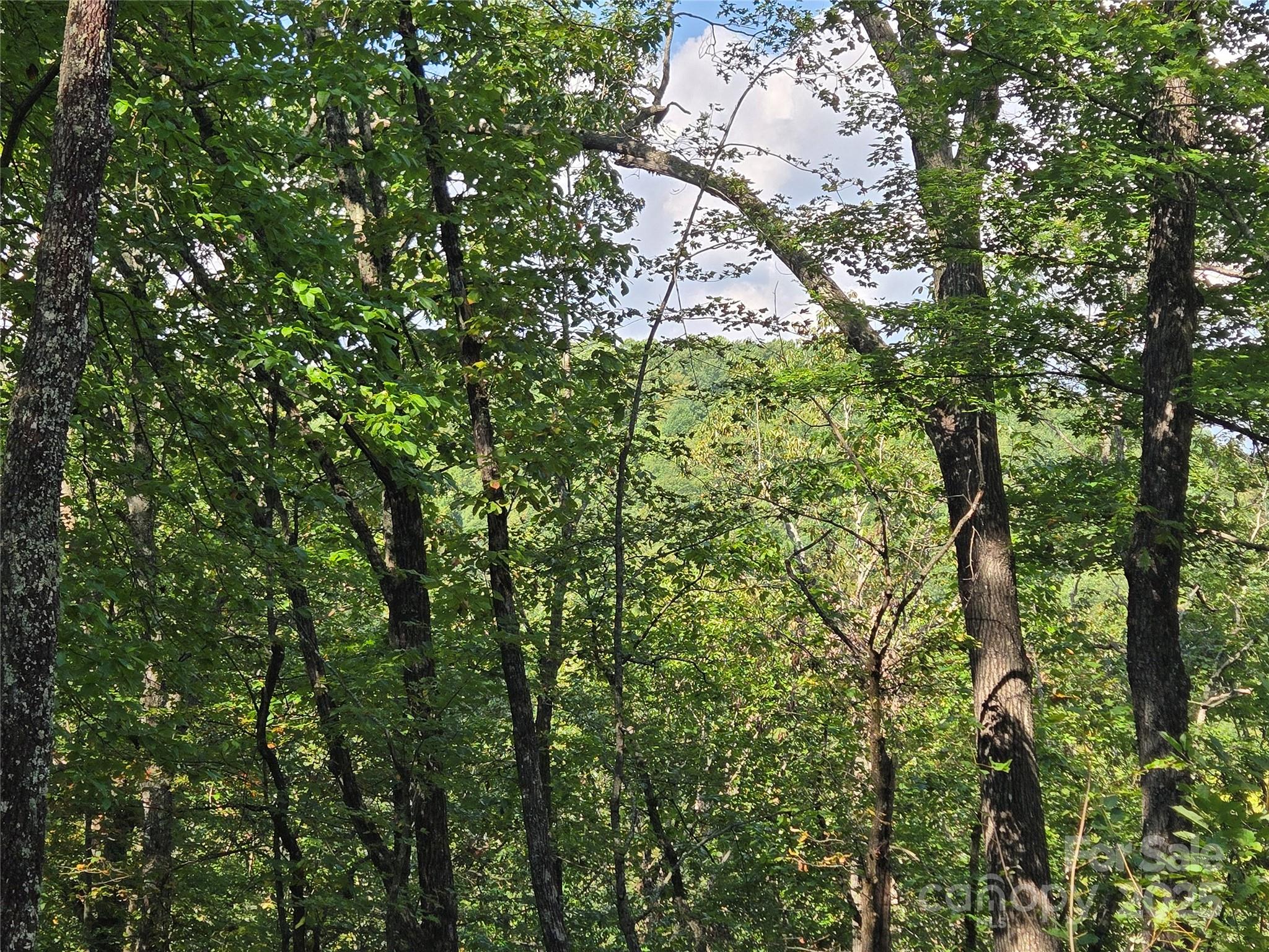 303 Ladd Ridge Property Photo 22