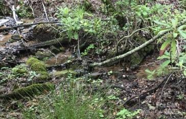 303 Ladd Ridge Property Photo 30