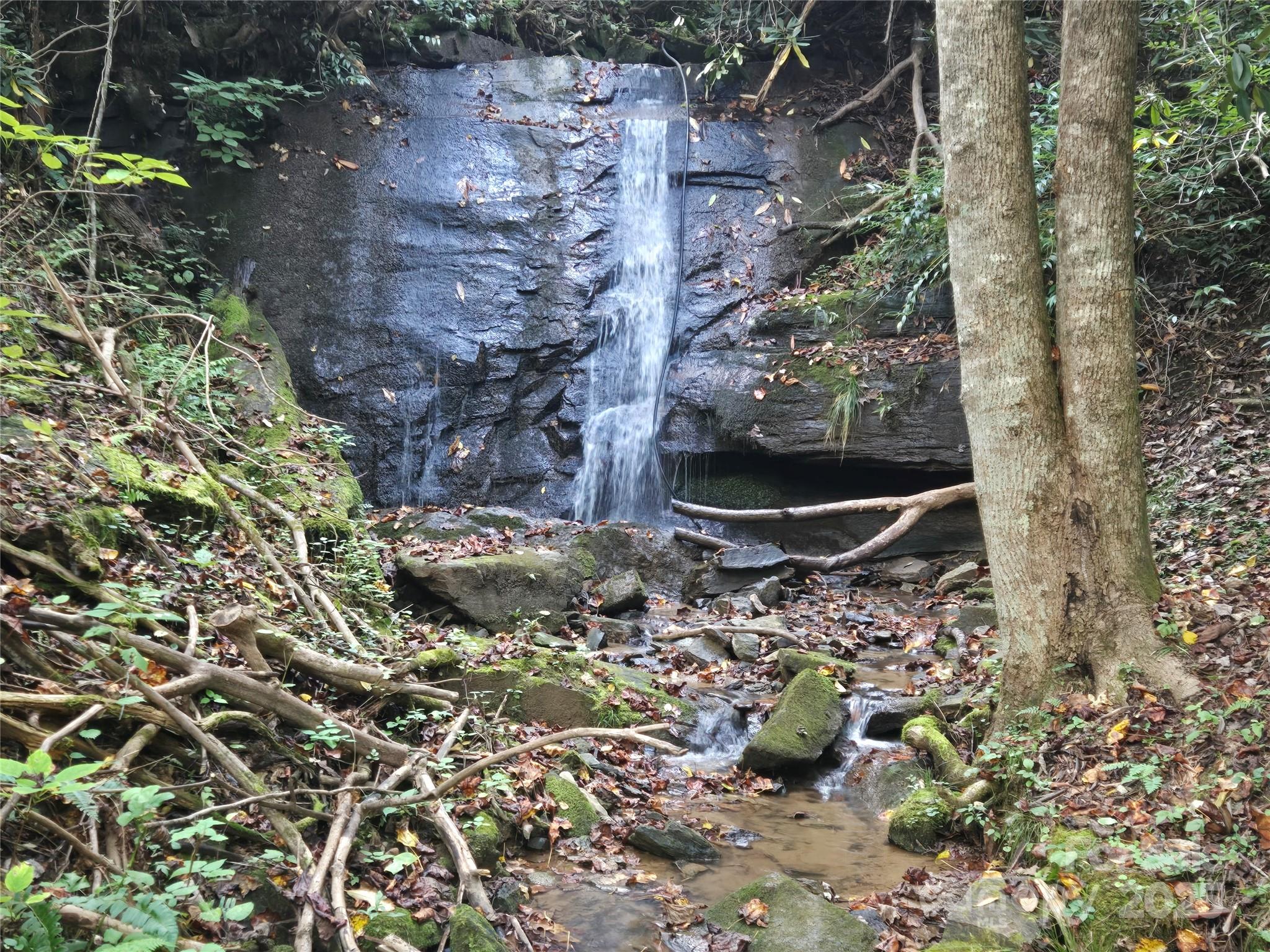 303 Ladd Ridge Property Photo 31