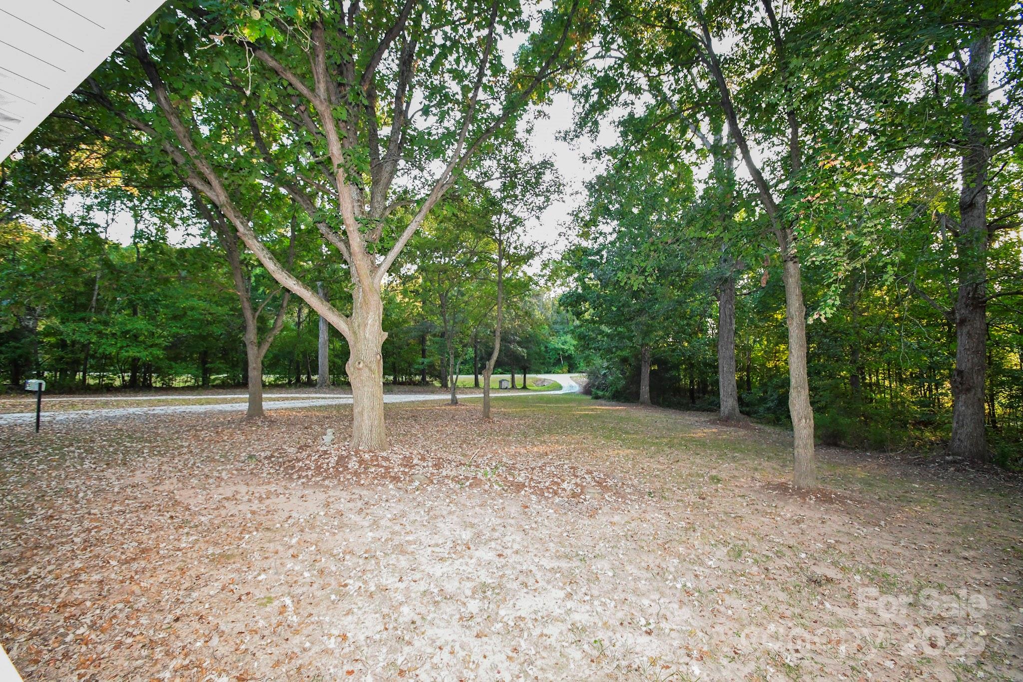 7817 Carl Polk Road Property Photo 9