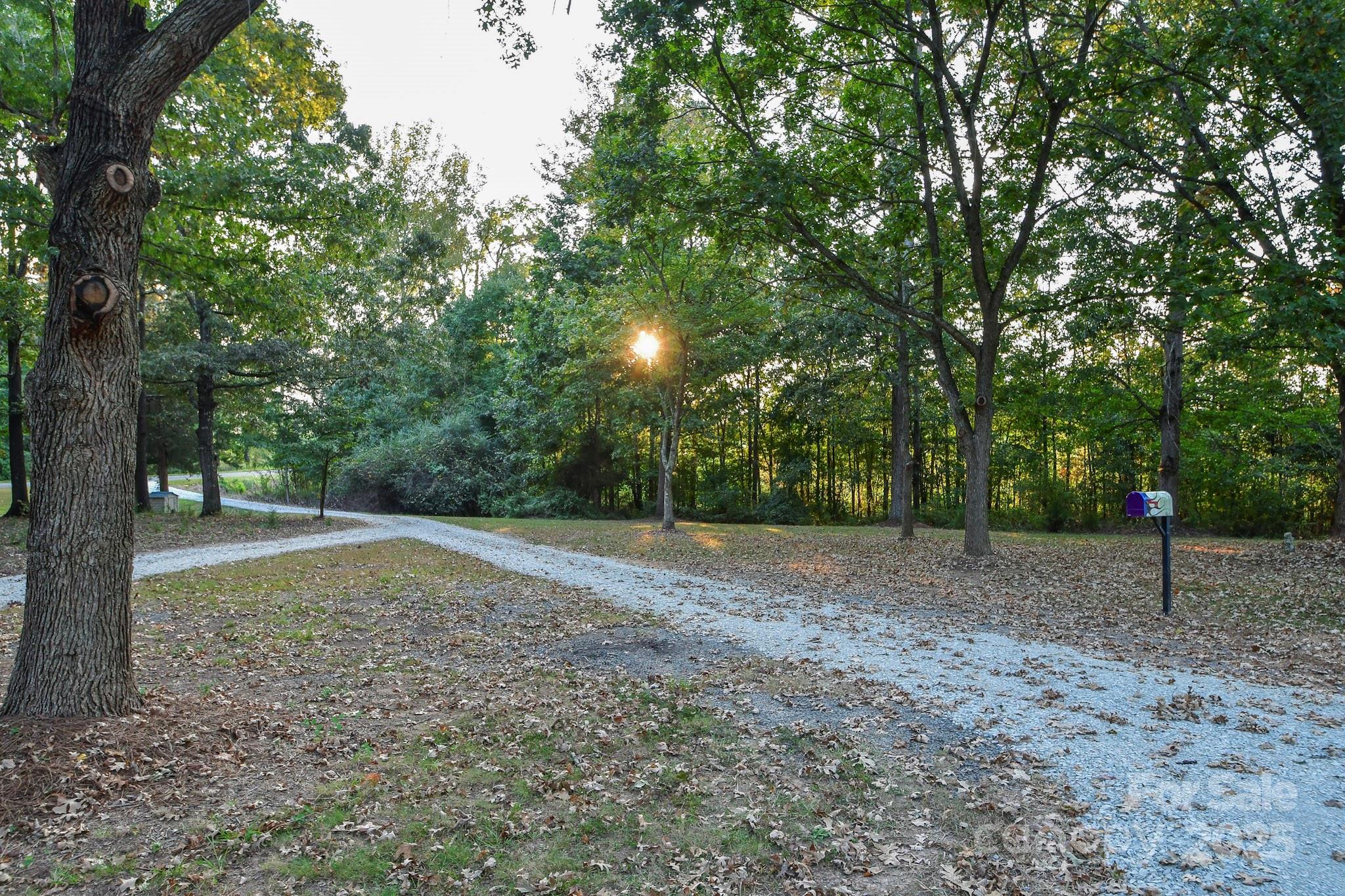 7817 Carl Polk Road Property Photo 10
