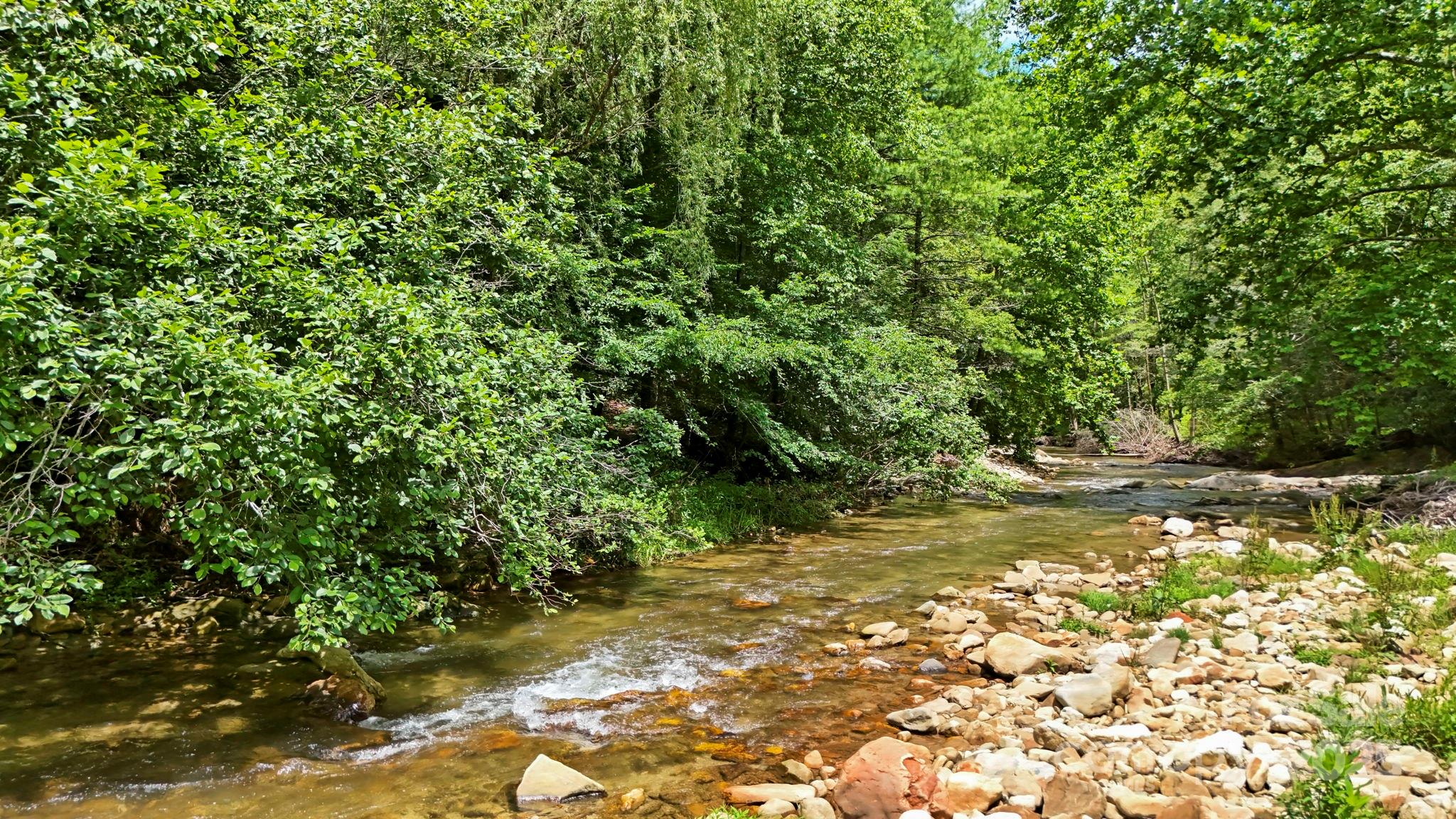 00 Timber Rock Drive Property Photo 16