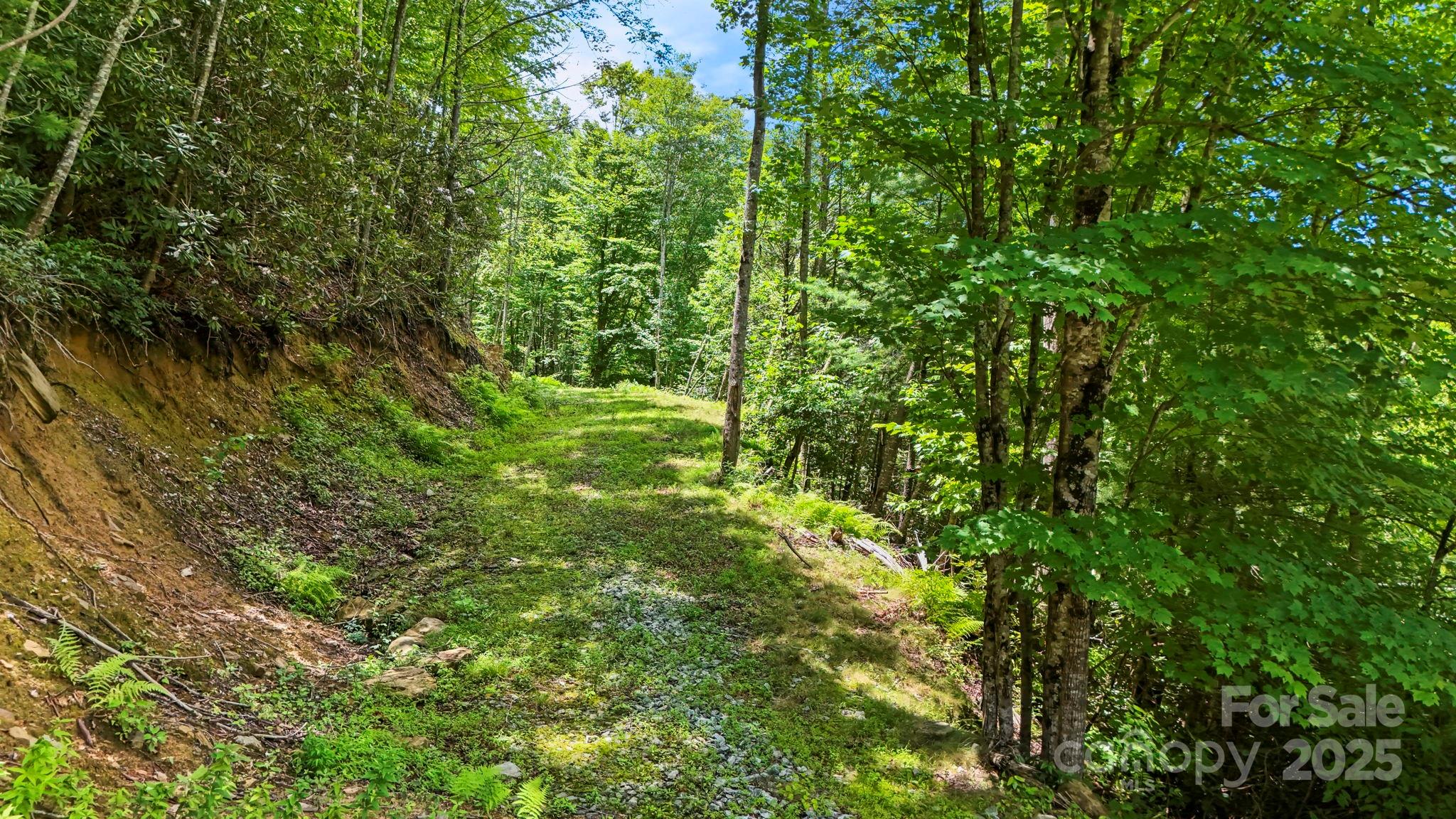 00 Timber Rock Drive Property Photo 18