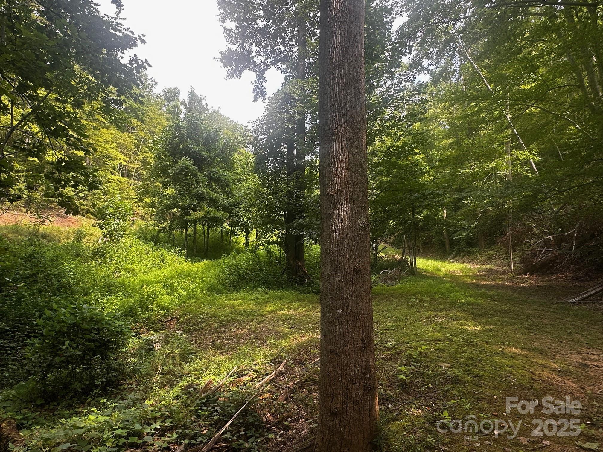 9999 Rock Ledge Drive Property Photo 6