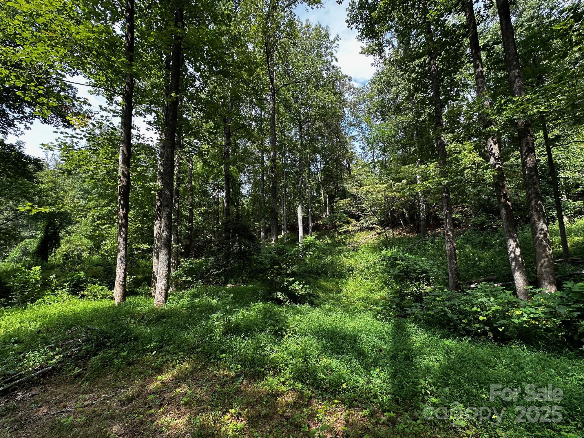 9999 Rock Ledge Drive Property Photo 11