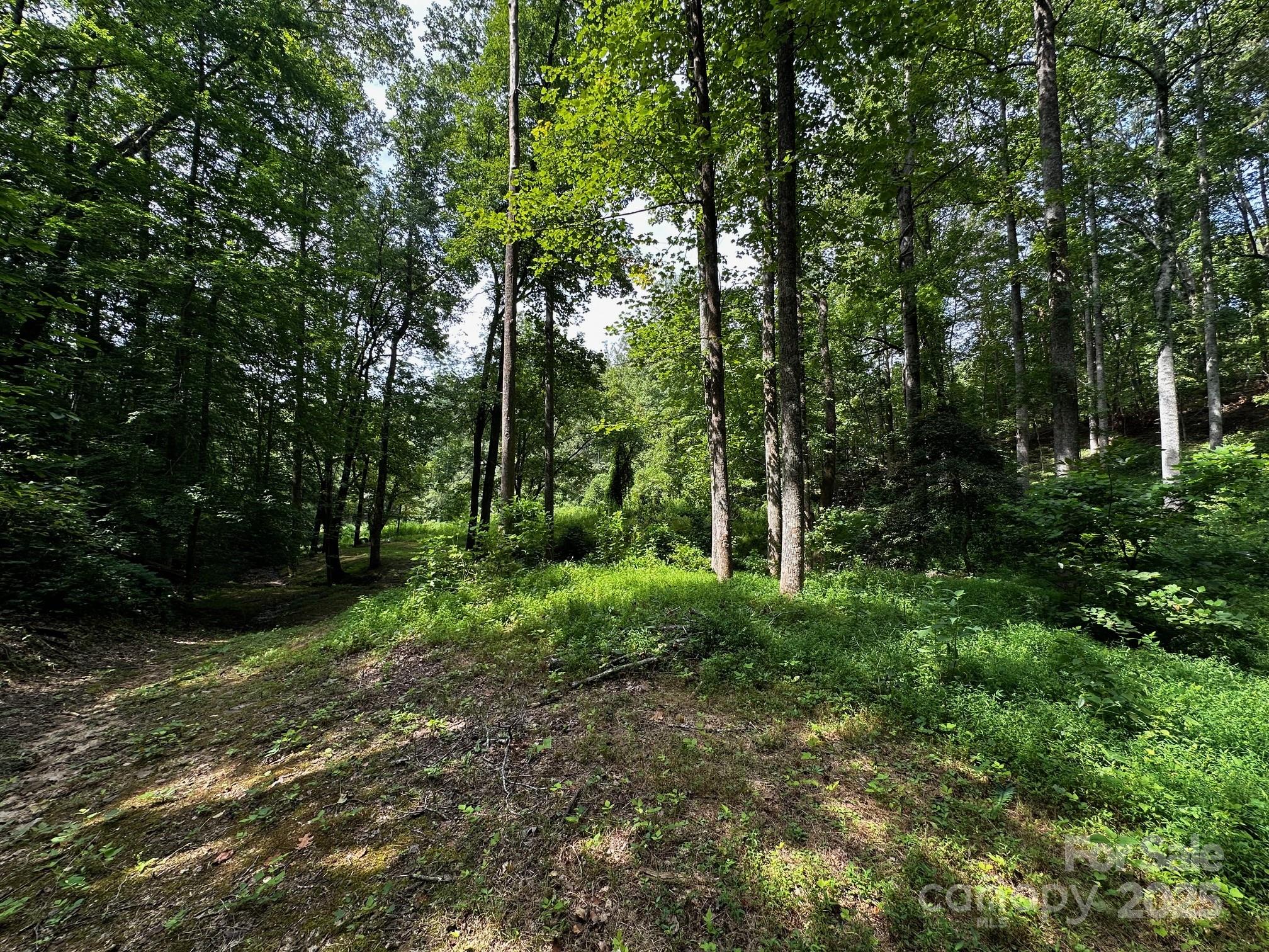 9999 Rock Ledge Drive Property Photo 16