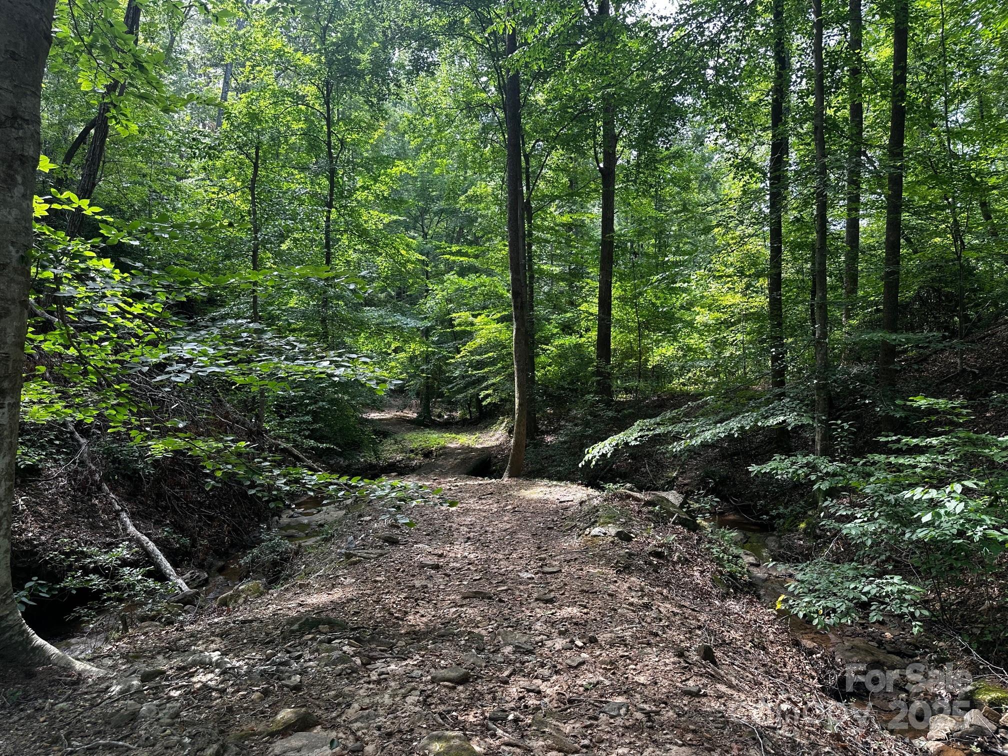 9999 Rock Ledge Drive Property Photo 19