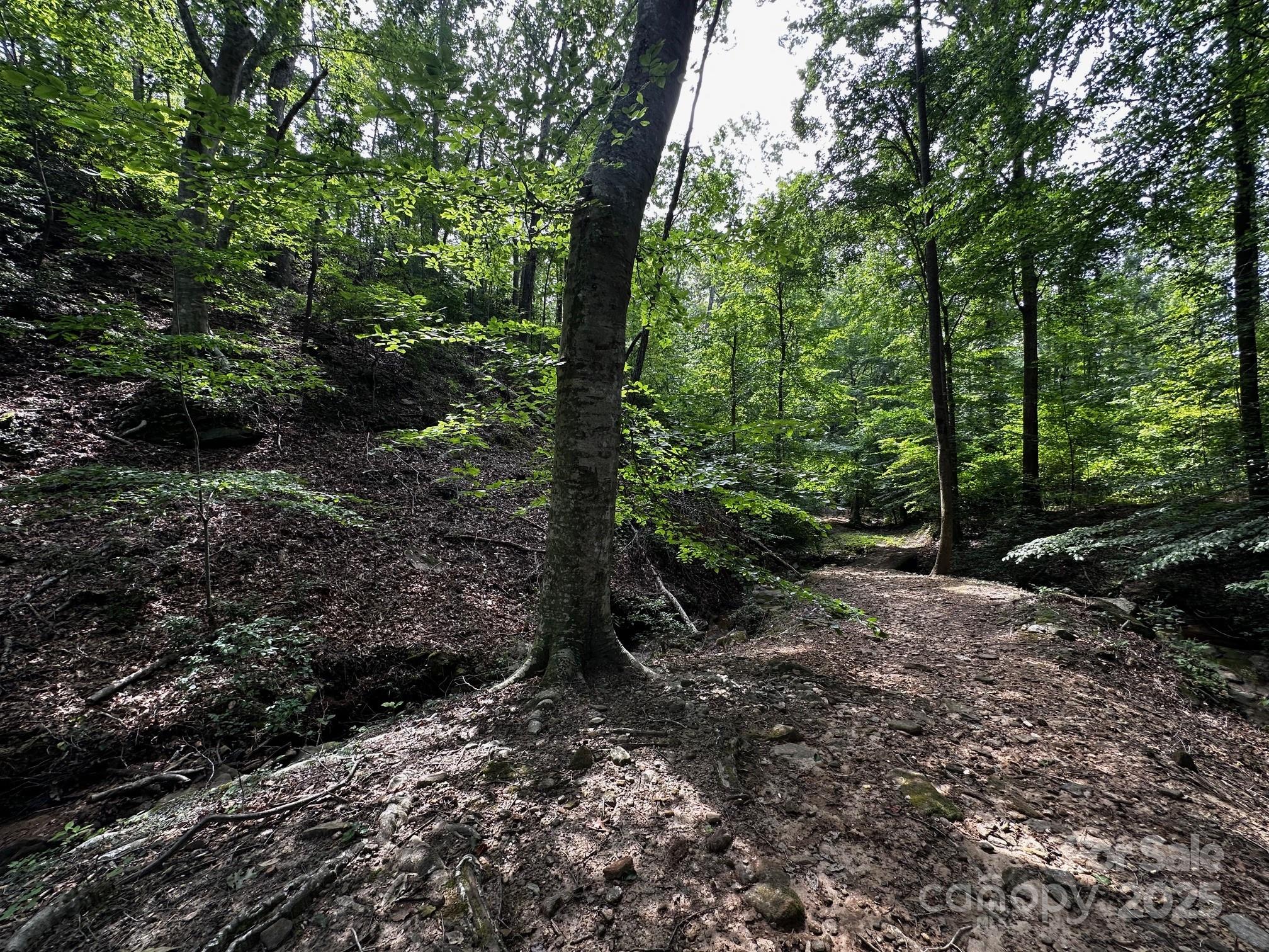 9999 Rock Ledge Drive Property Photo 22