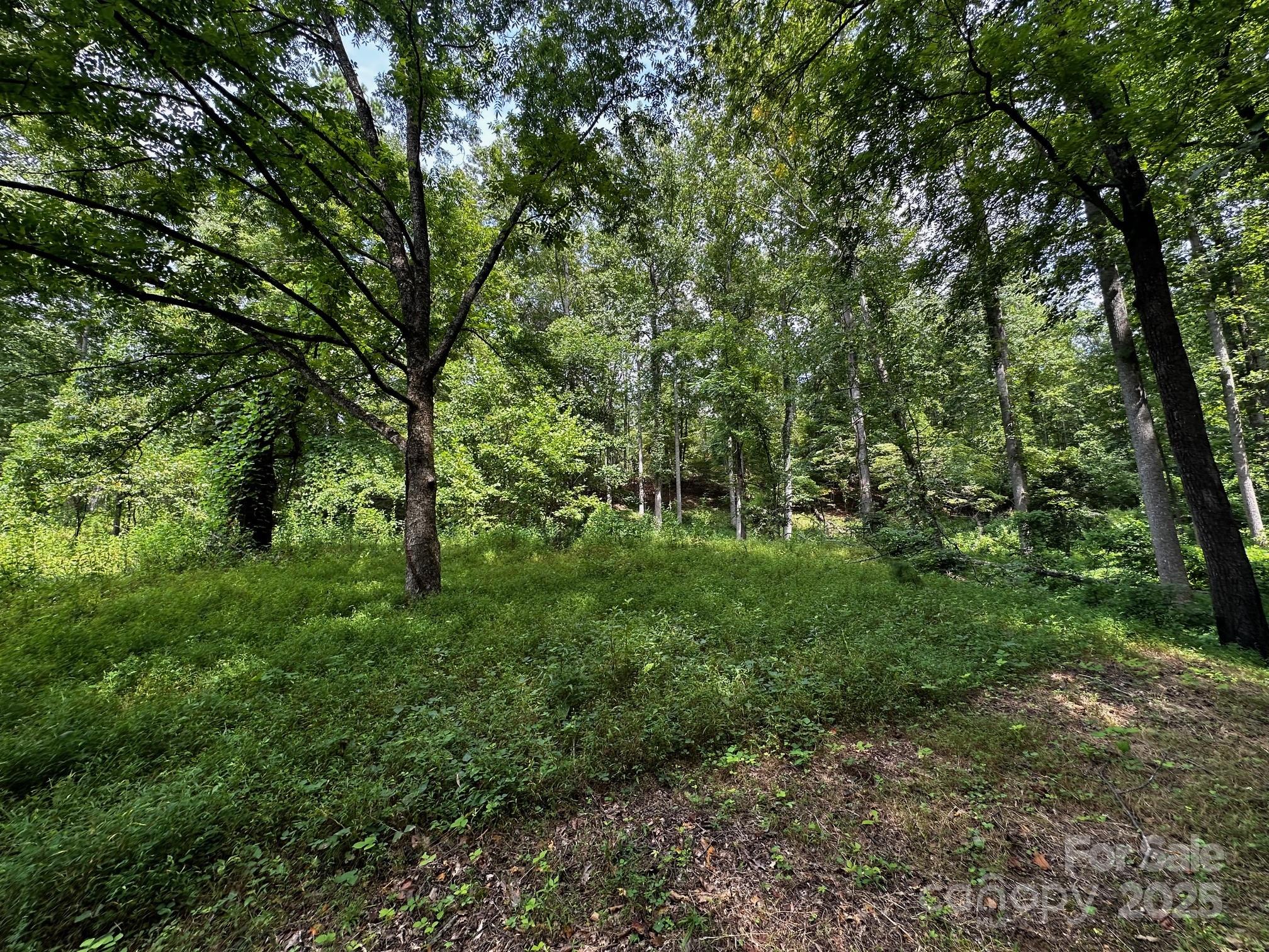 9999 Rock Ledge Drive Property Photo 31