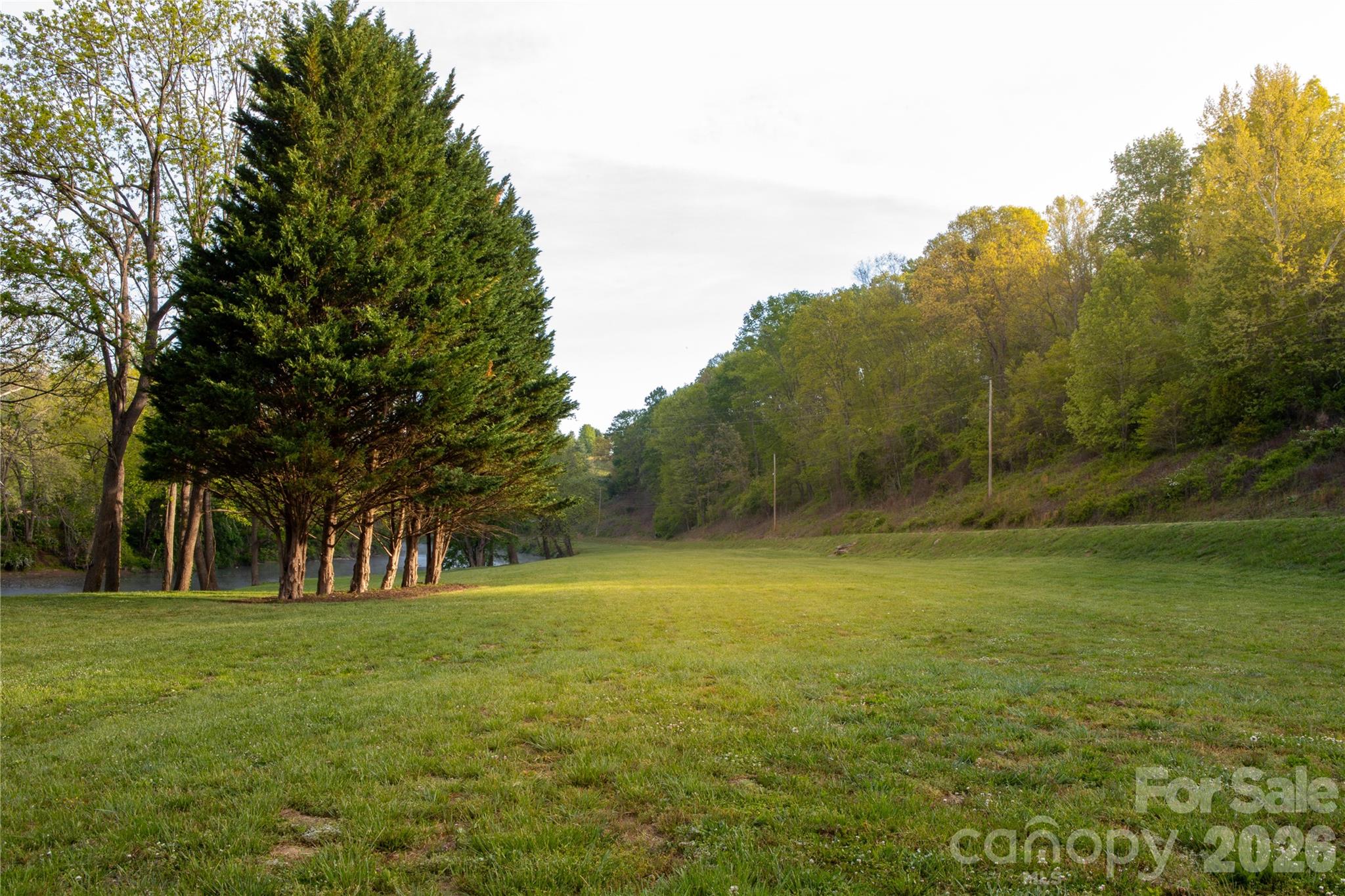 100 Kinloch Lane Property Photo 41