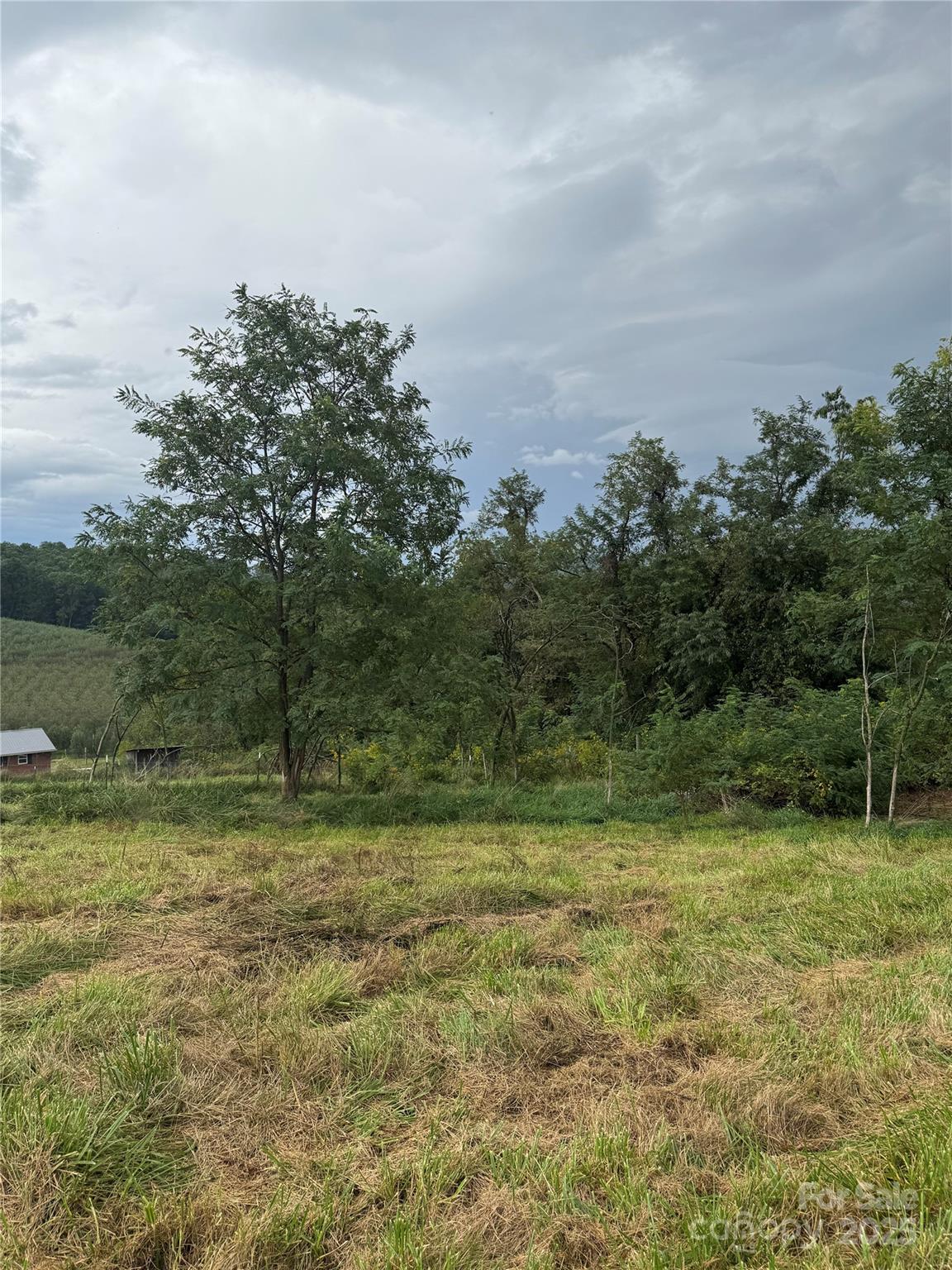 000 Bobs Road Property Photo 1