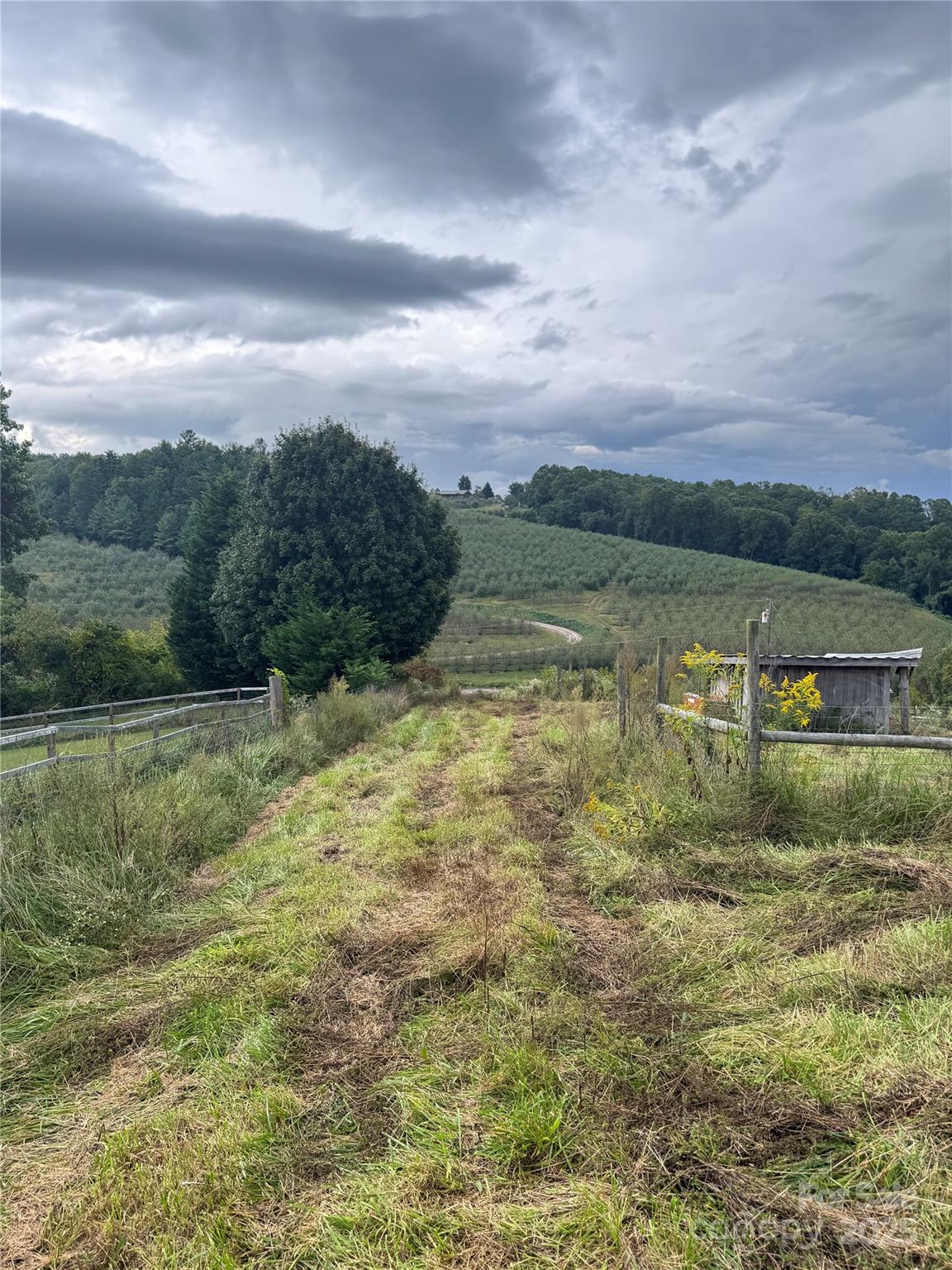 000 Bobs Road Property Photo 3